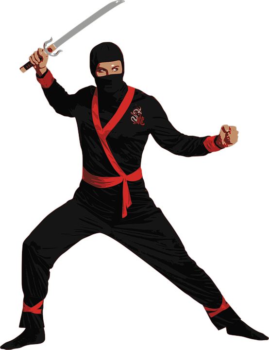 Ninja PNG Image