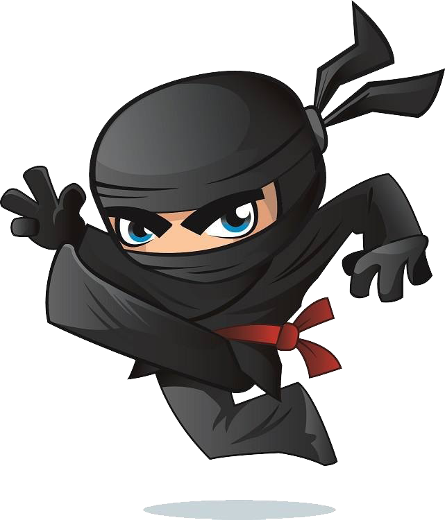 Ninja PNG Image