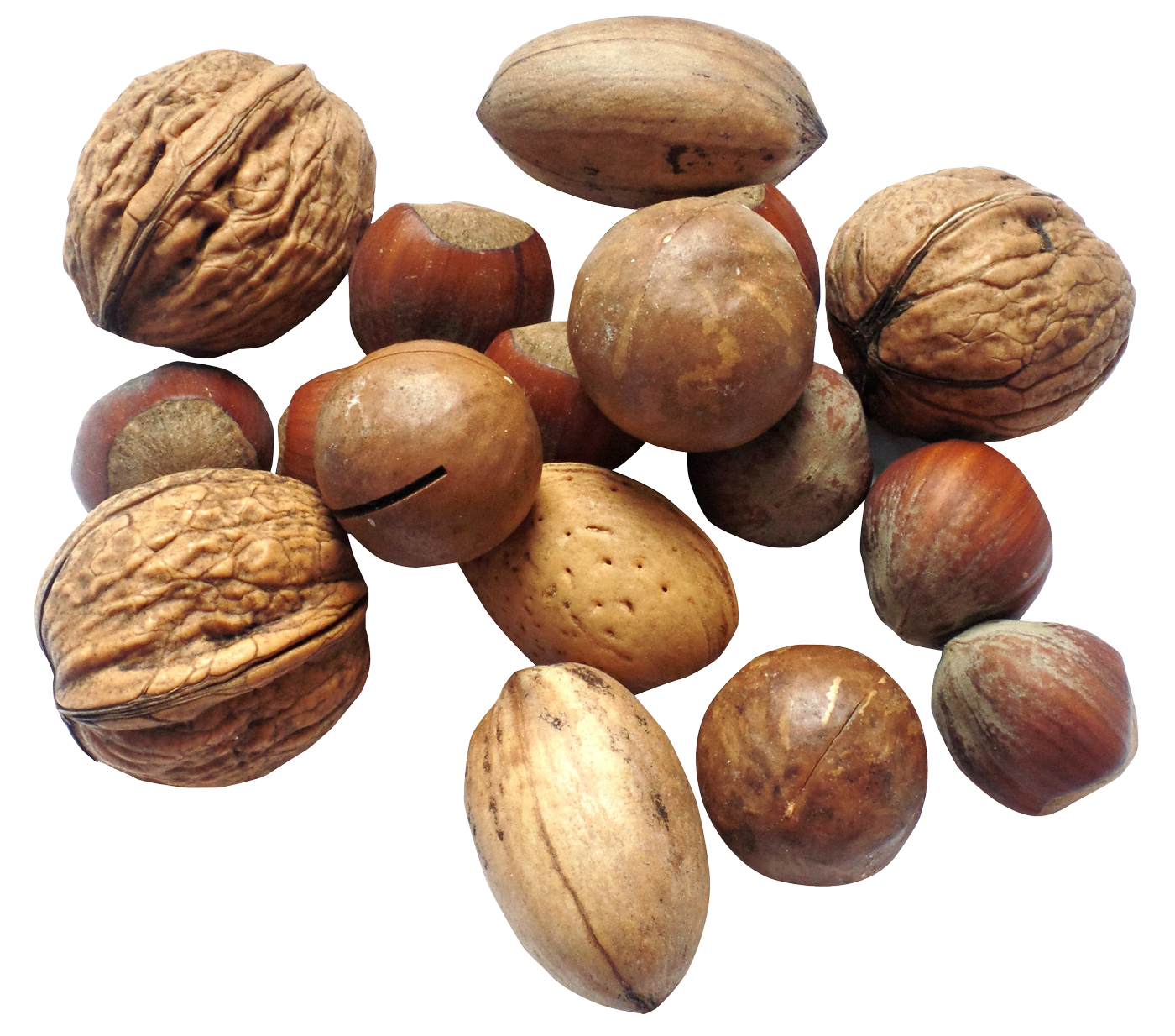 Nut PNG Image