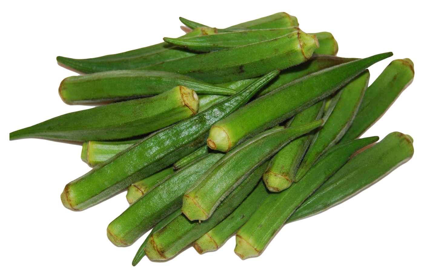 Download Okra PNG Image For Free