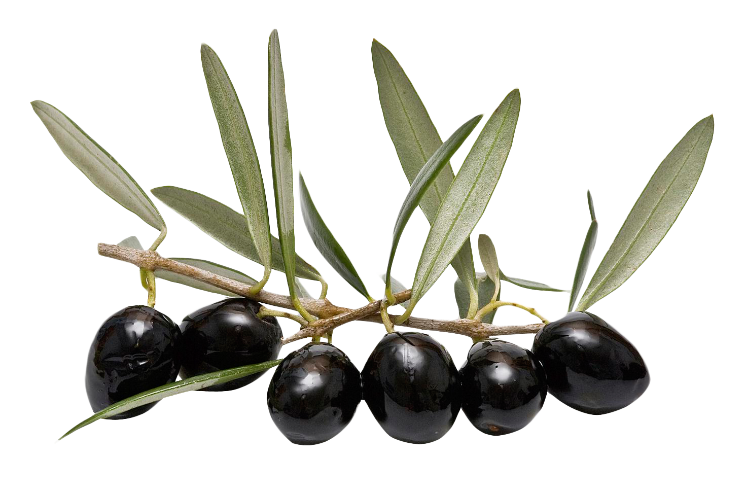 Olive With Leaves PNG Image