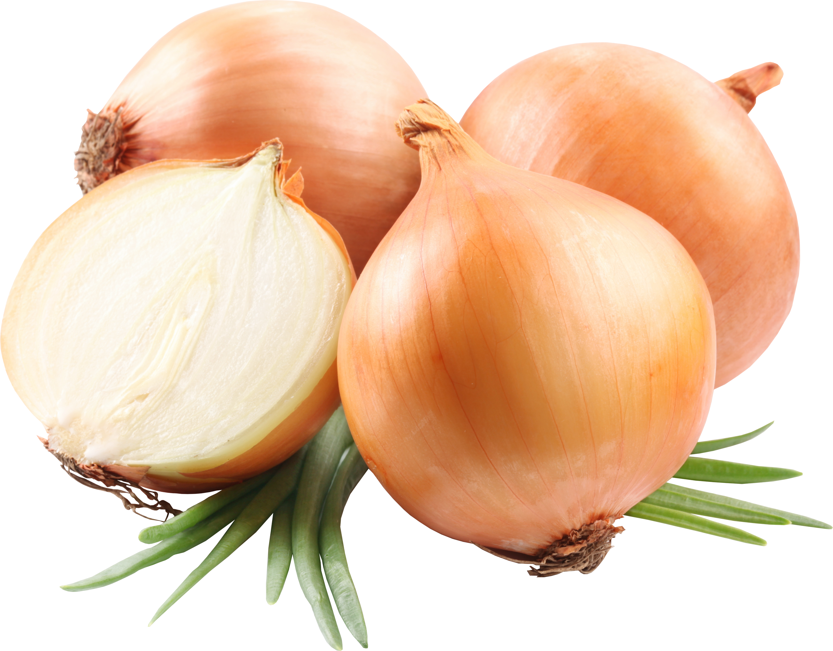 Onion PNG Image