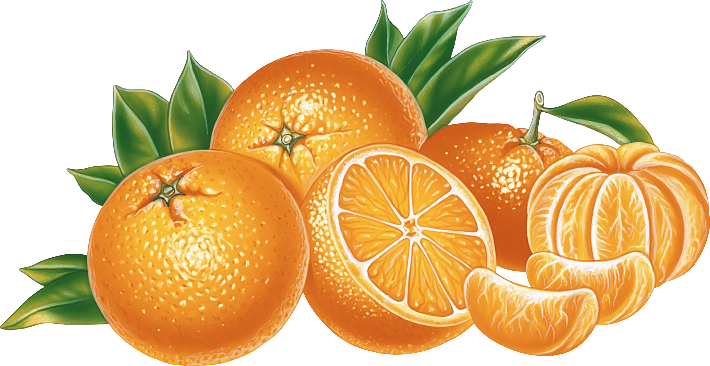Orange and Mandarin