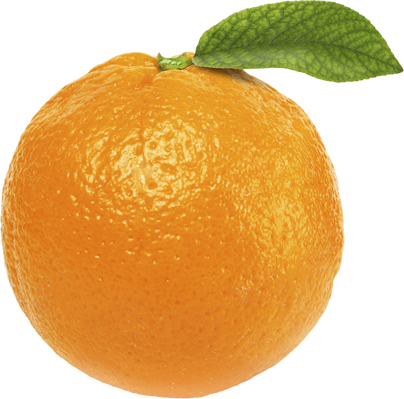 Orange | Orange PNG Image - PurePNG | Free transparent CC0 PNG Image