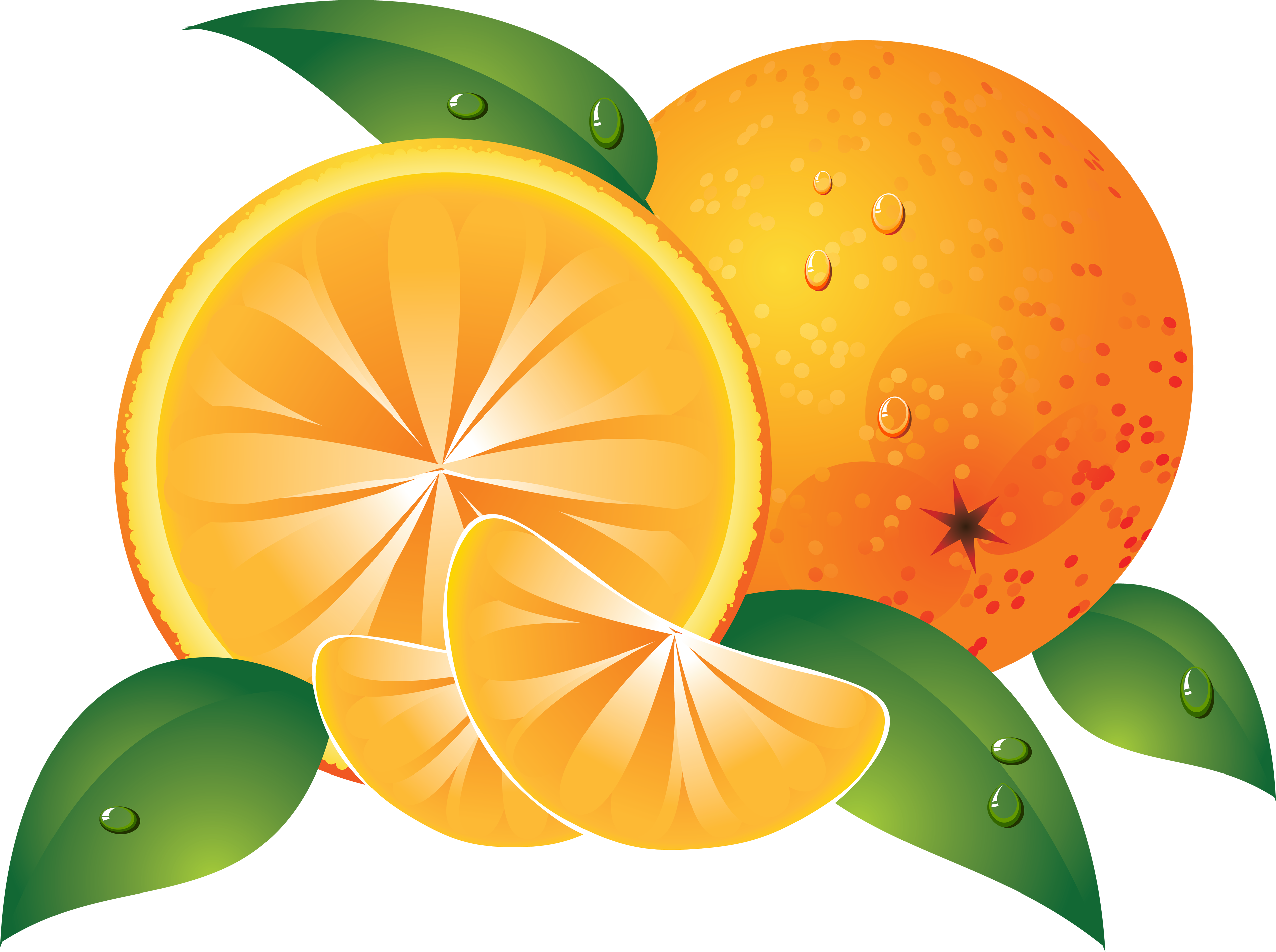 Orange | Oranges PNG Image
