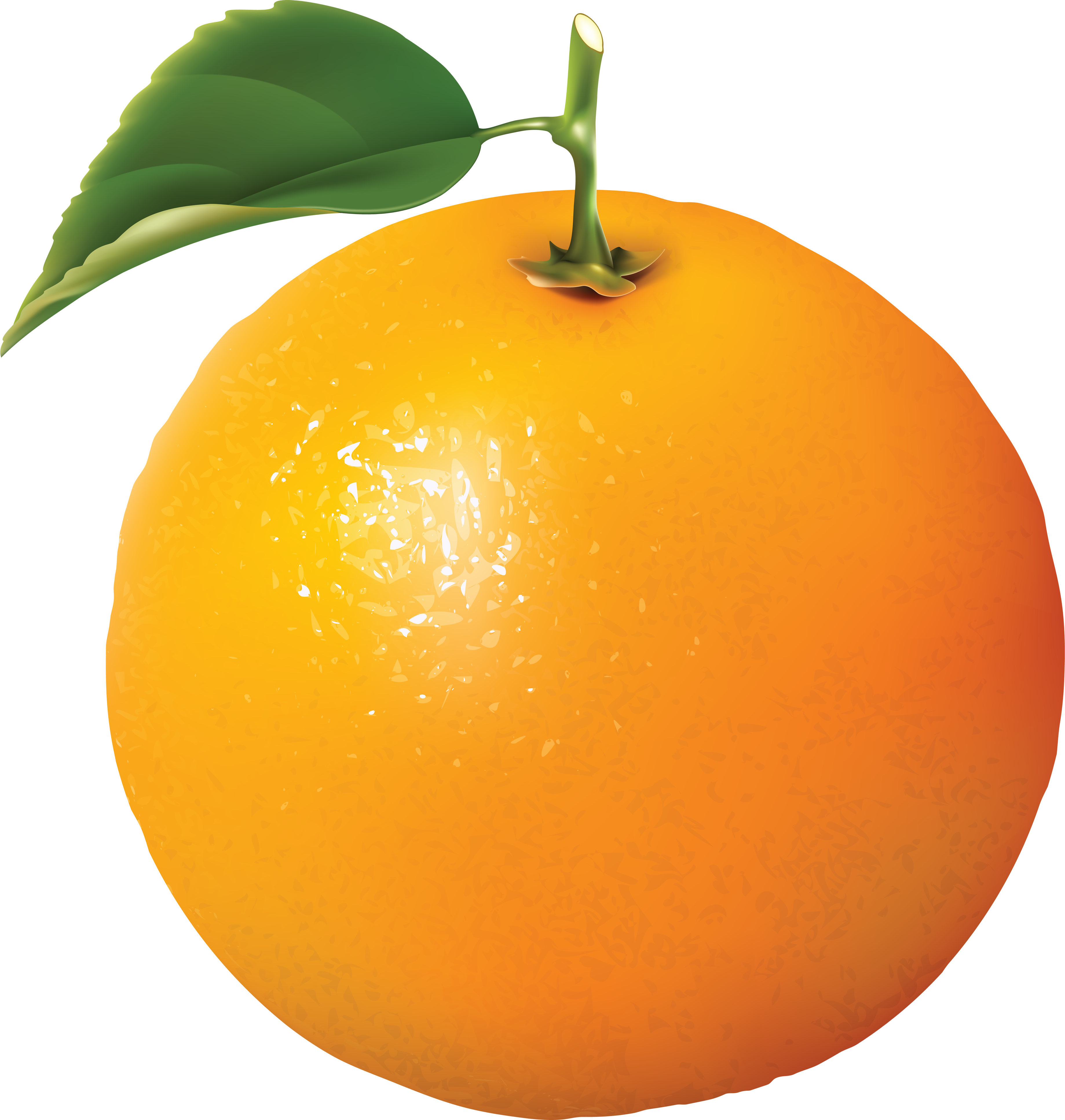 Orange | Oranges