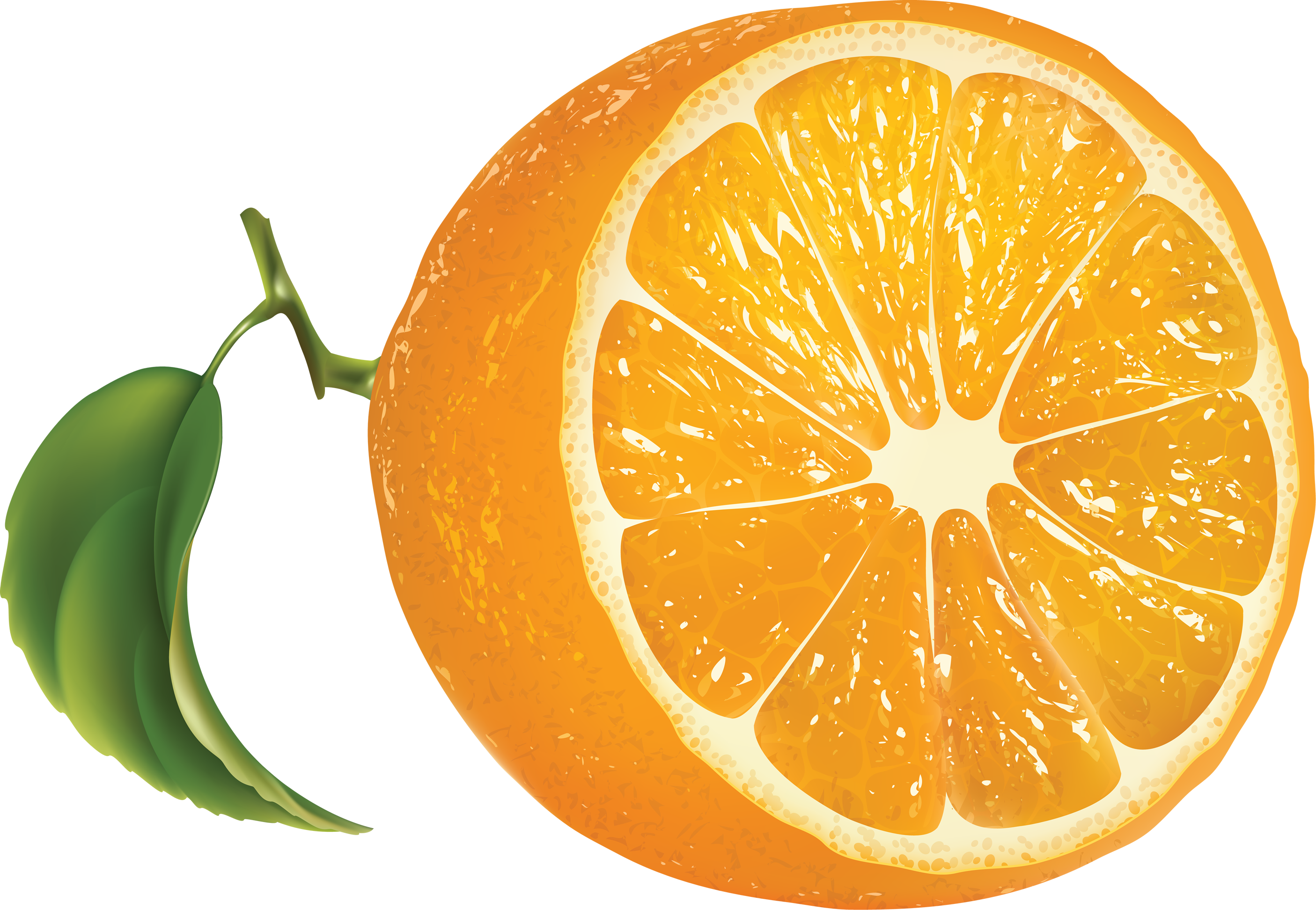 Orange | Oranges