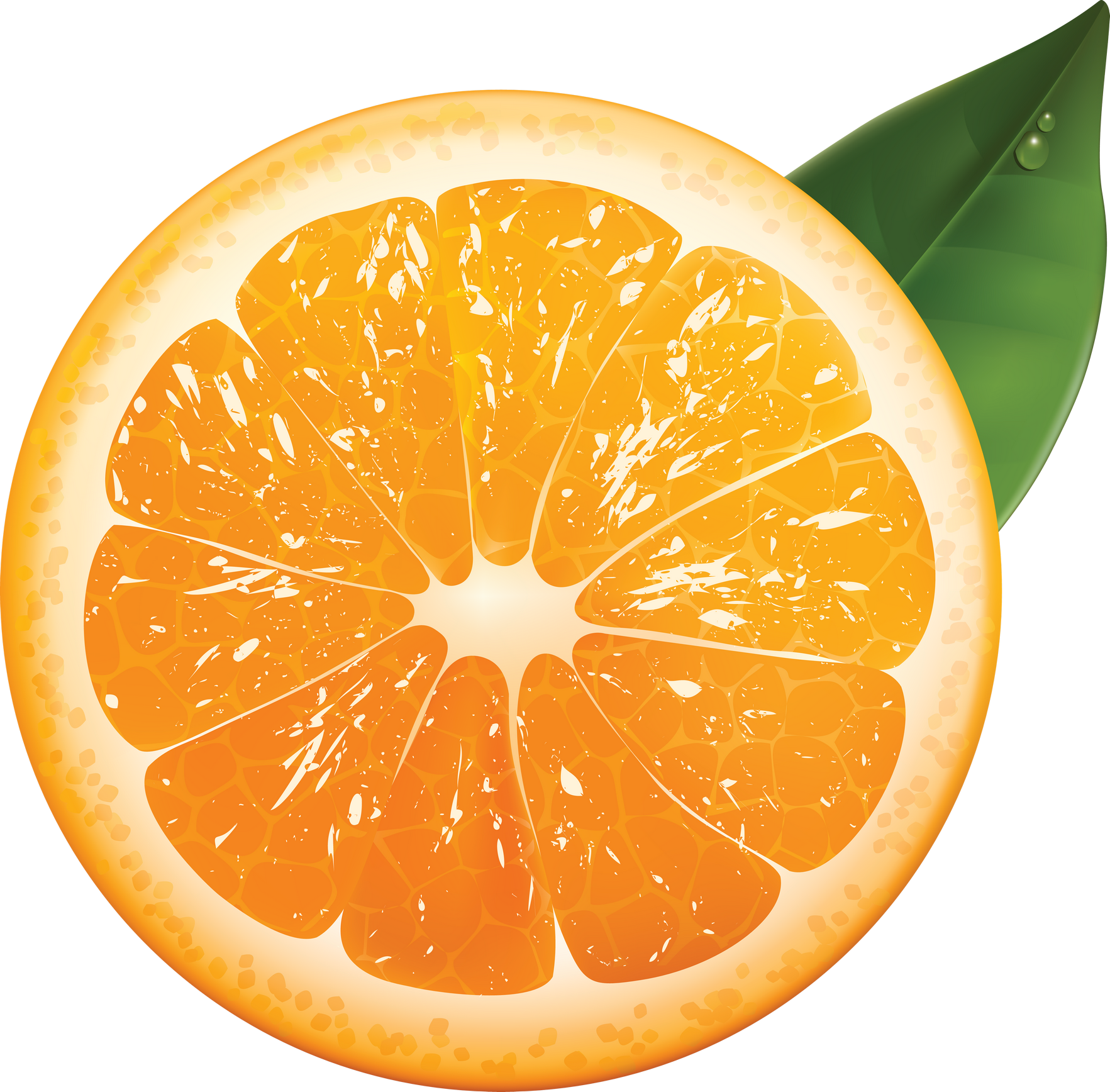 Orange | Oranges PNG Image - PurePNG | Free transparent CC0 PNG Image  Library