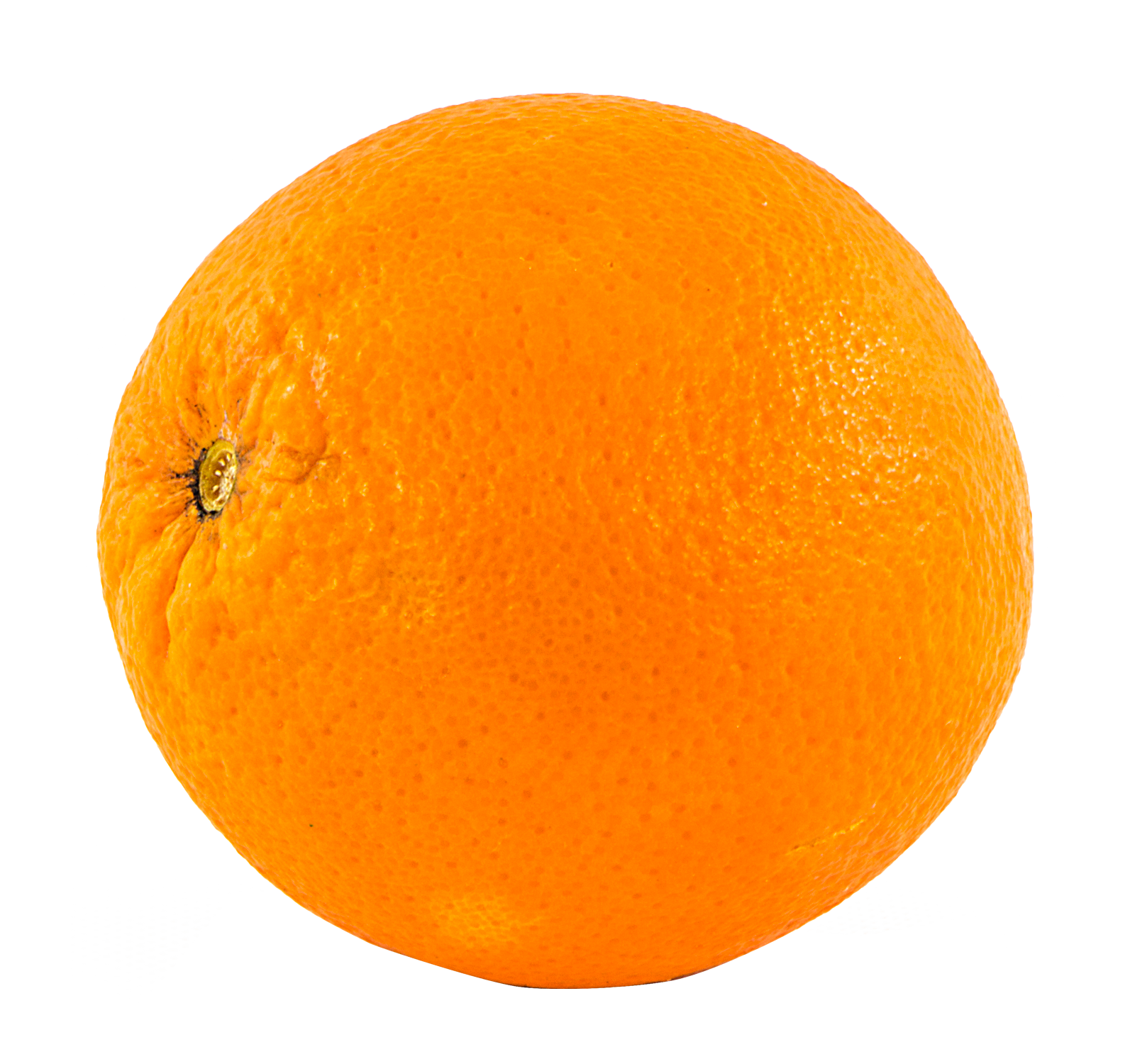 Orange Png Image For Free Download