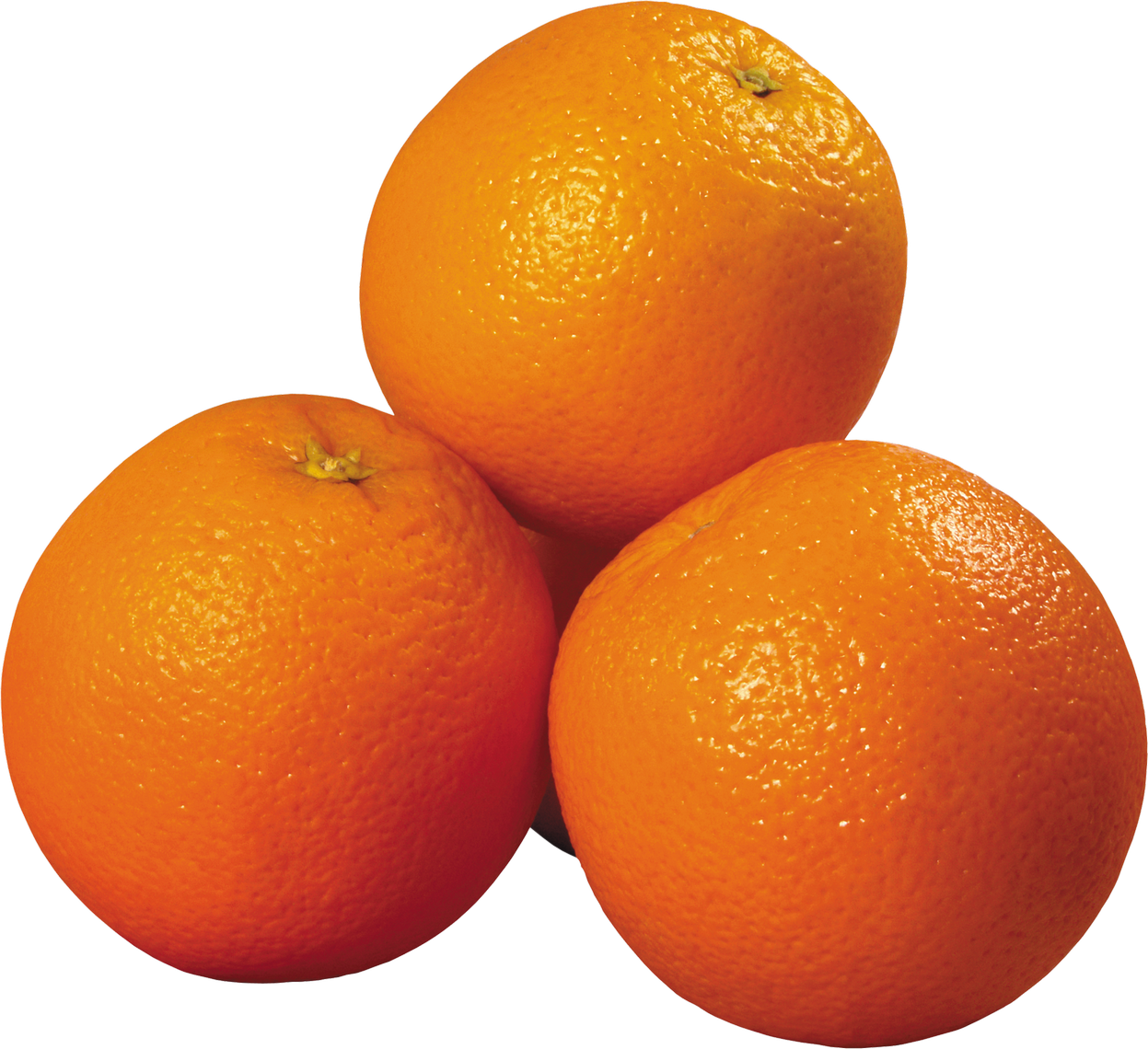 Purepng.com Orangeorangefruitbitter Orangeorangs 1701527336276ebdxo 