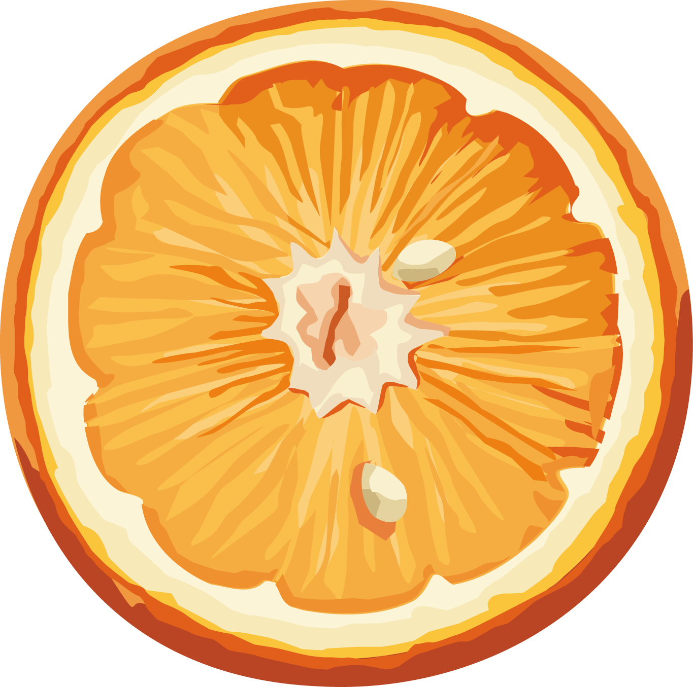 Orange PNG Image