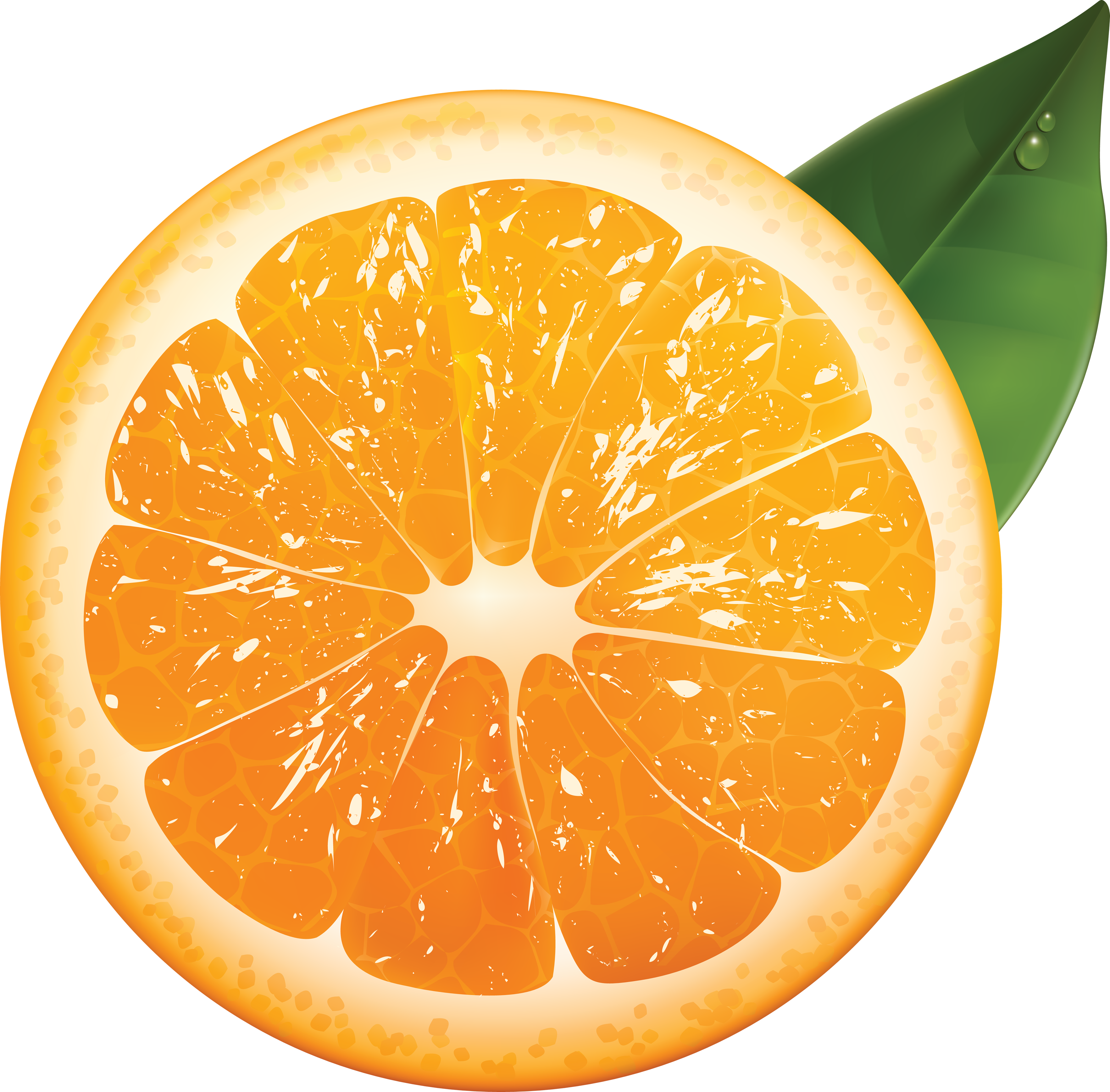 Orange PNG Image