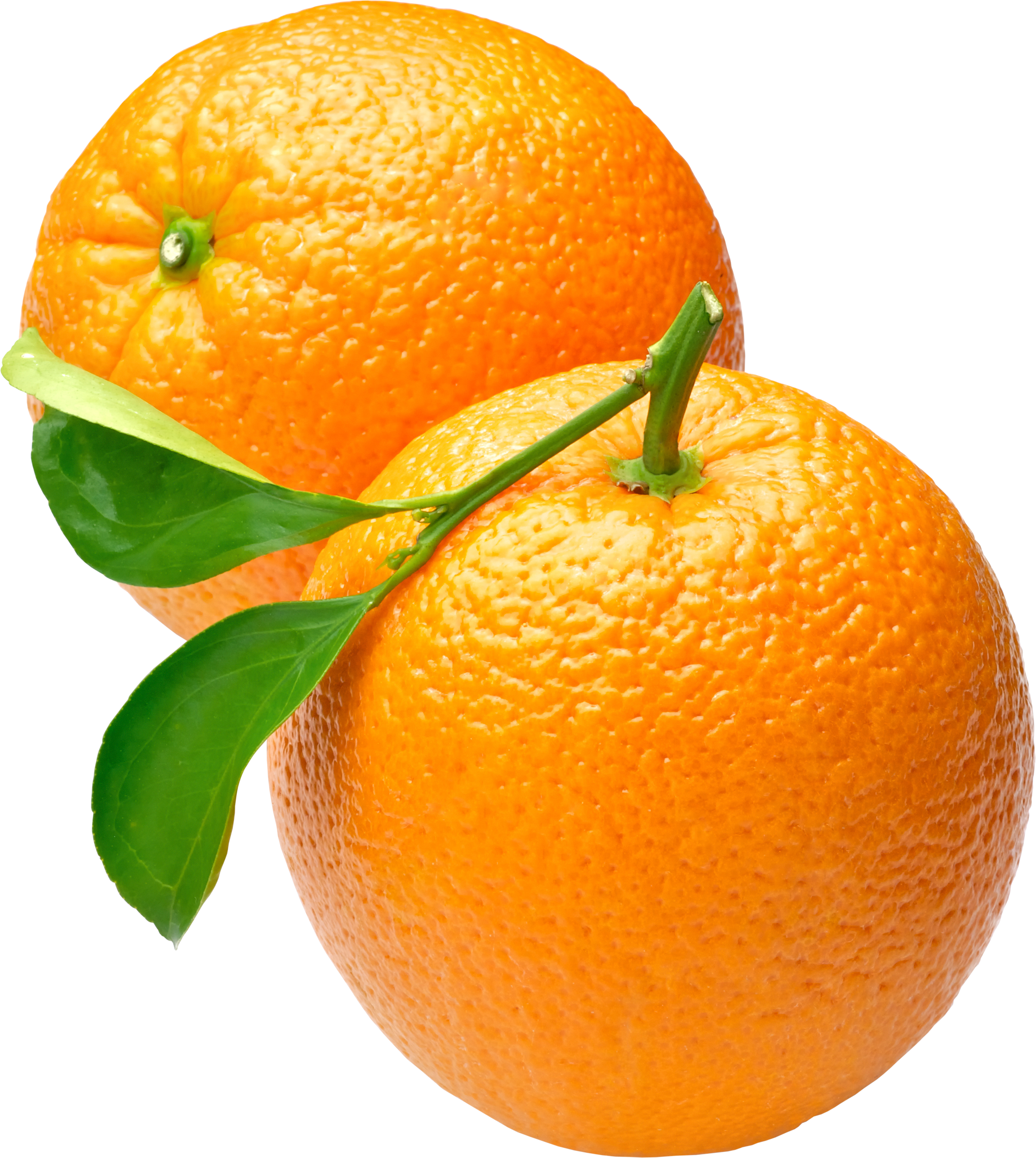 Oranges PNG Image