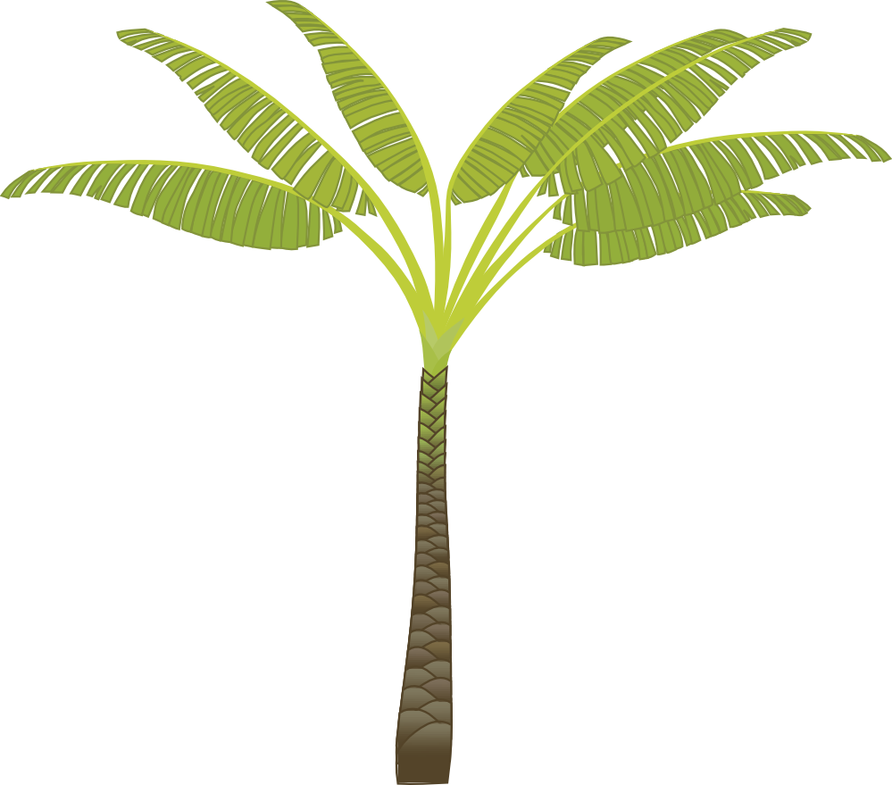 Palm Tree PNG Image