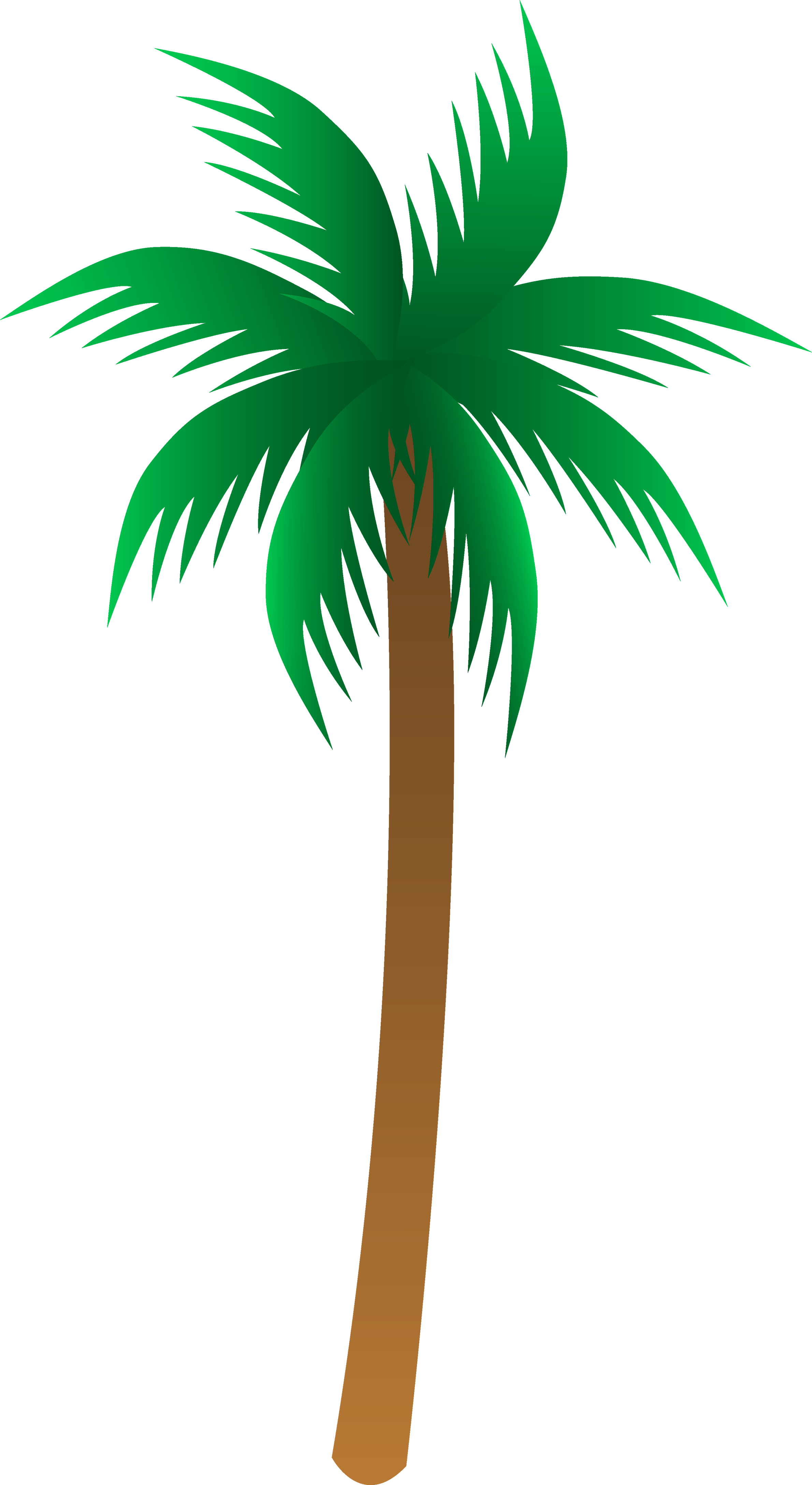 Palm Tree PNG Image
