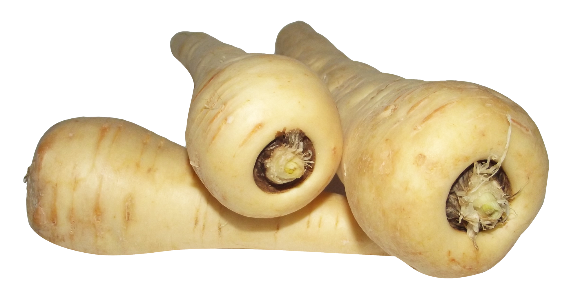 Parsnip