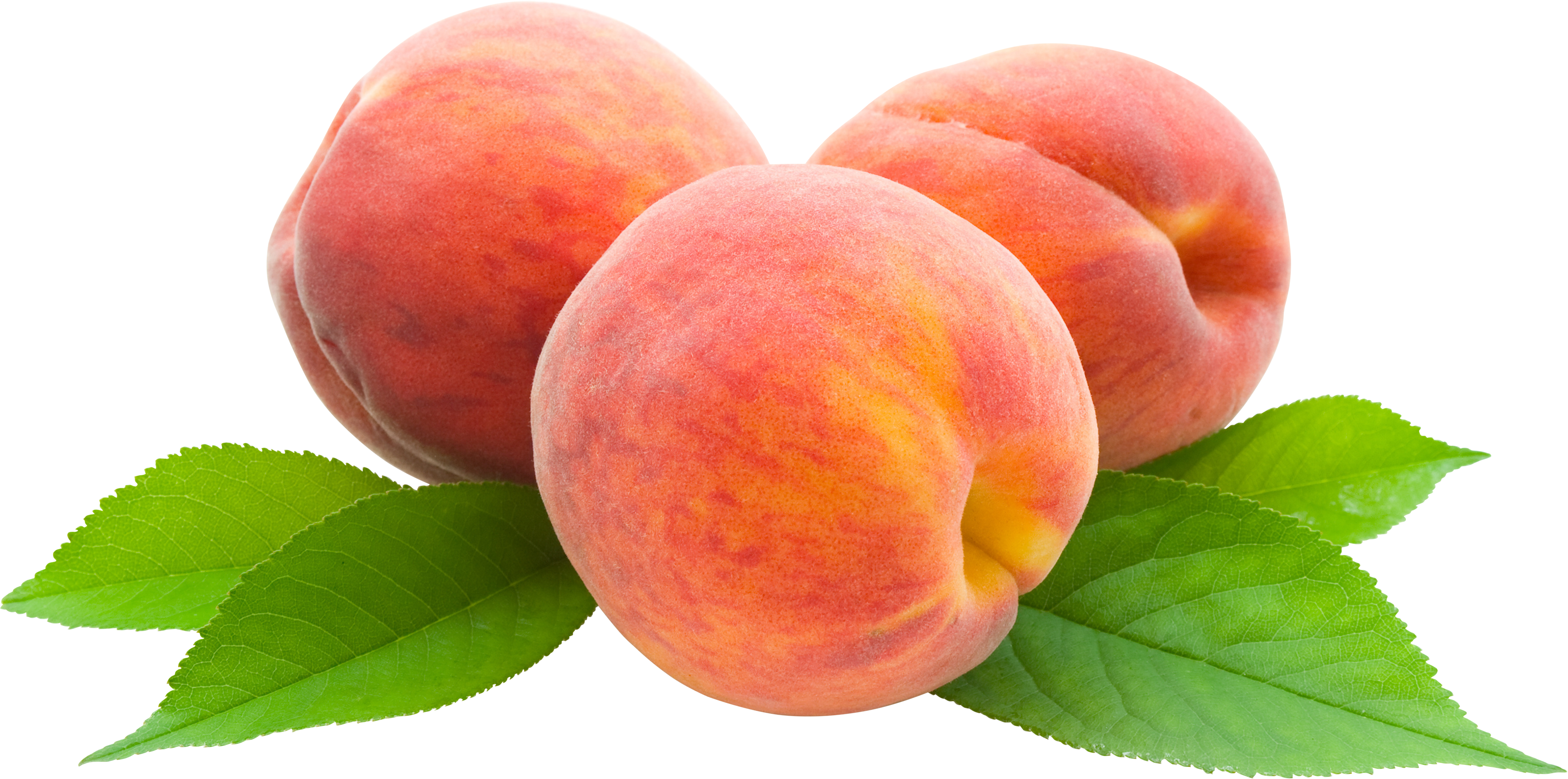 Peaches PNG Image