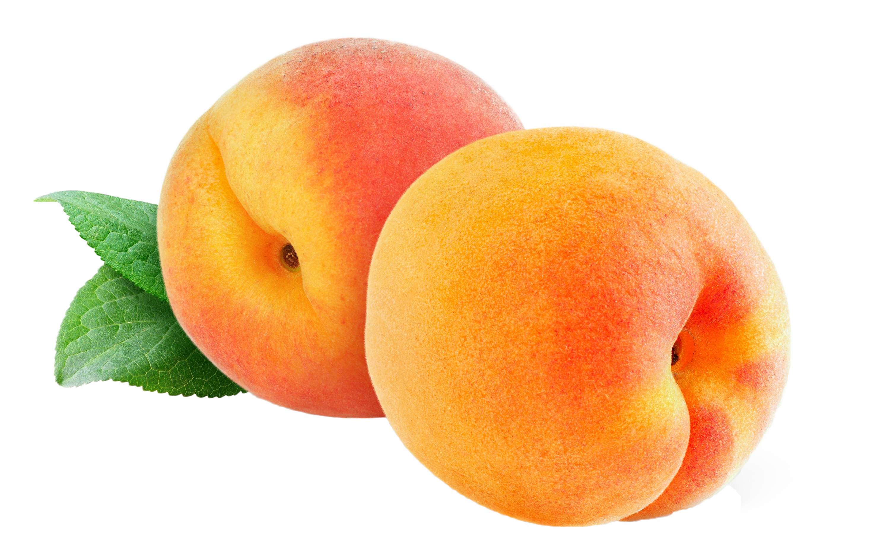 Download Peach PNG Image - PurePNG | Free transparent CC0 PNG Image ...