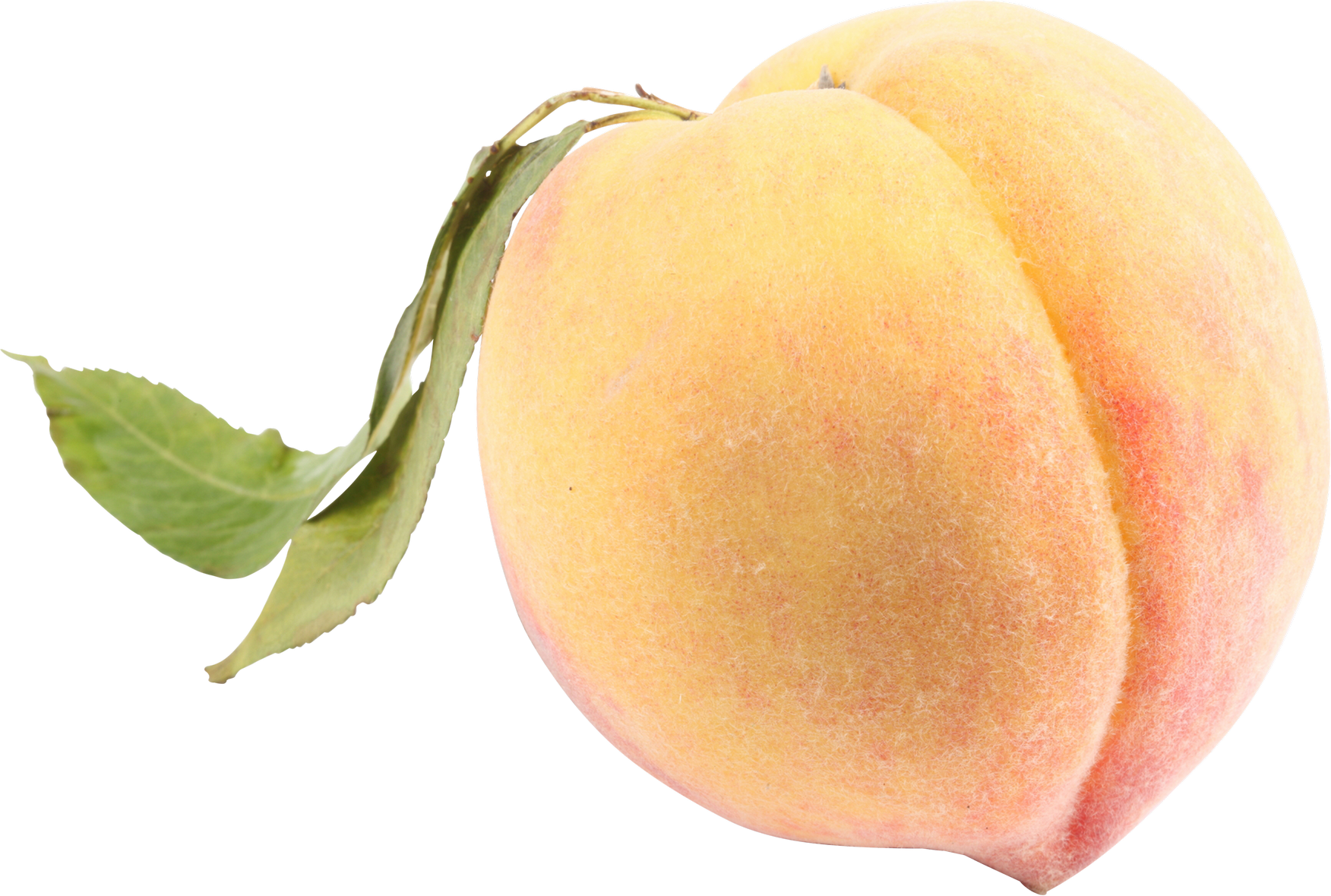 Peach PNG Image