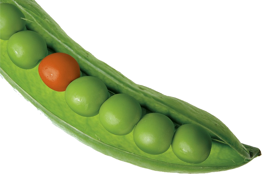 Pea PNG Image