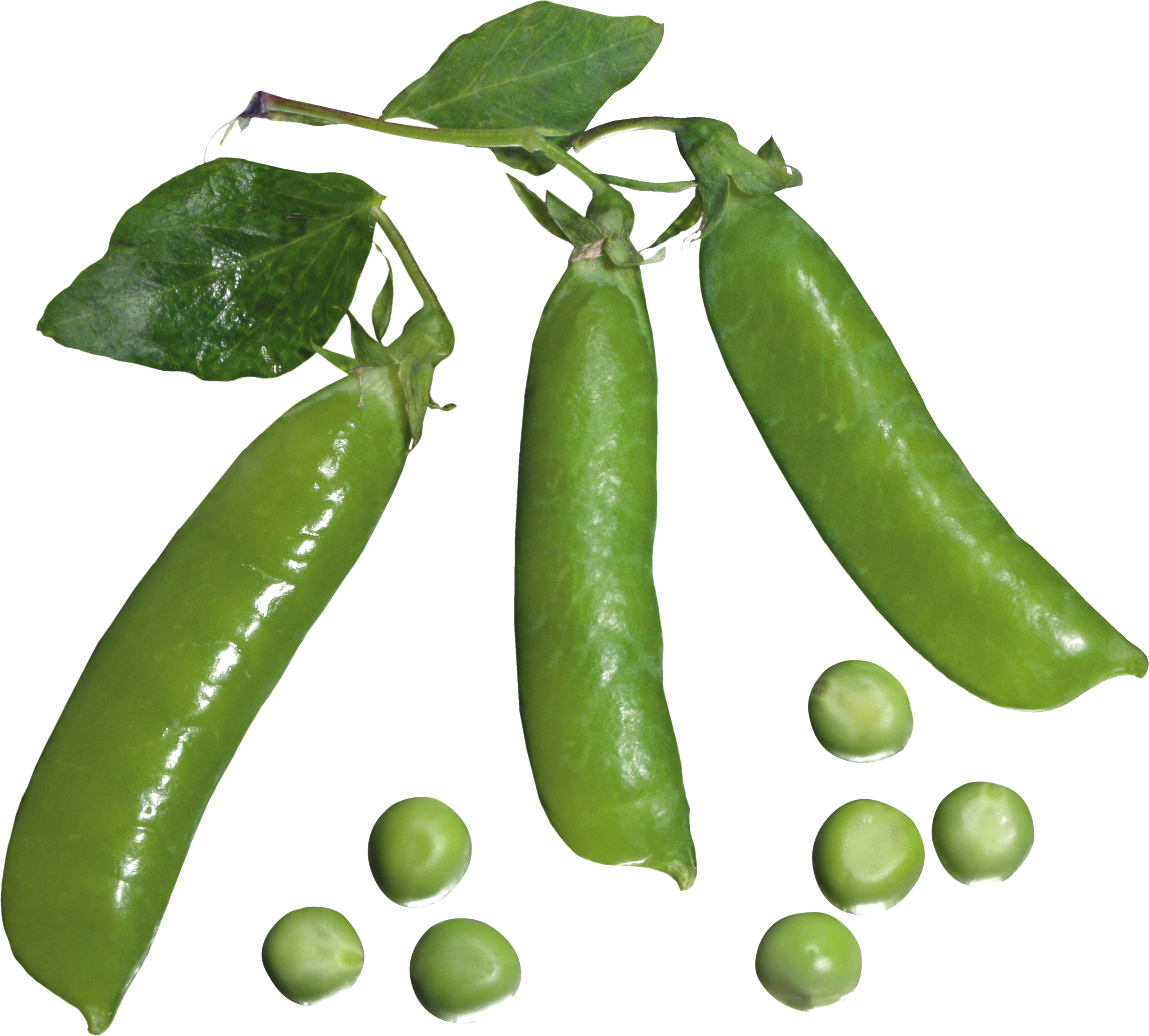 Pea PNG Image