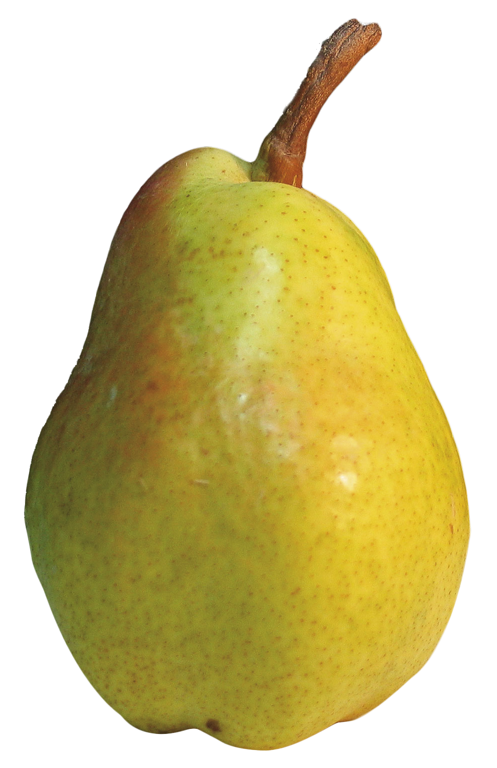 Pear Fruit Green