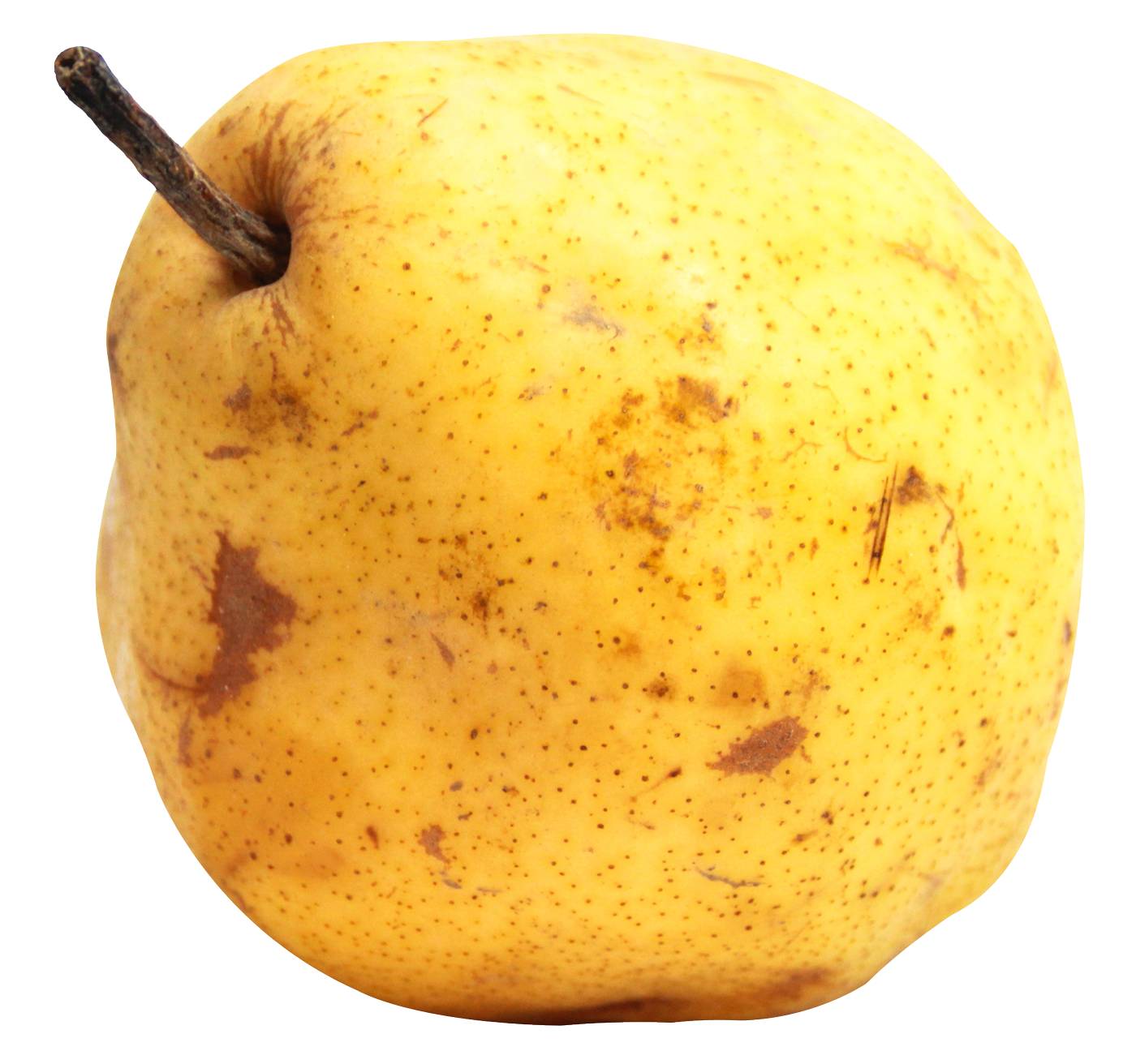 Pear Fruit PNG Image
