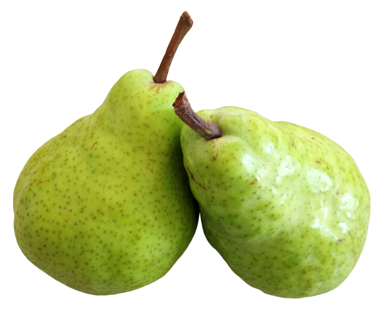 Pear Fruits PNG Image