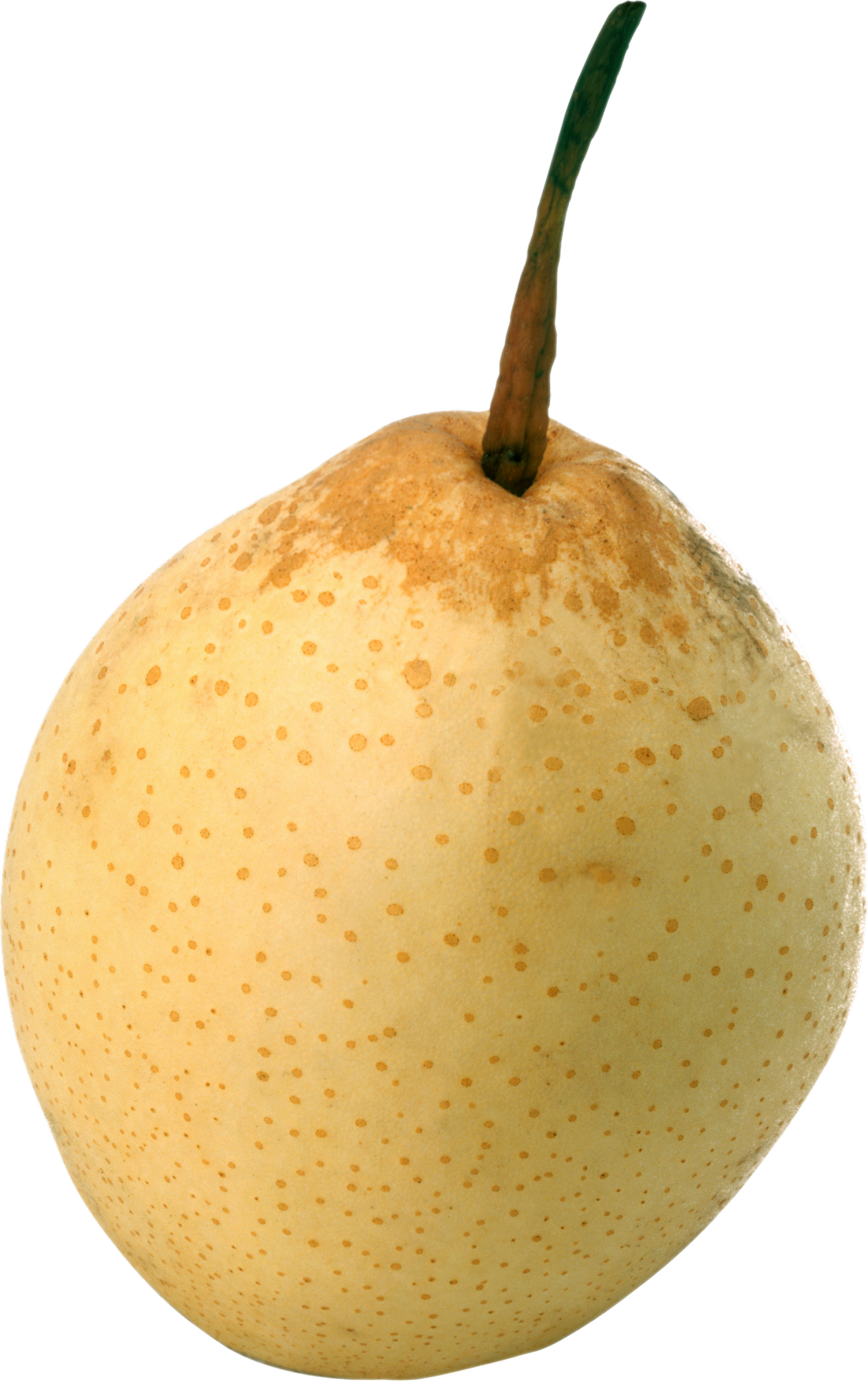 Pear PNG Image