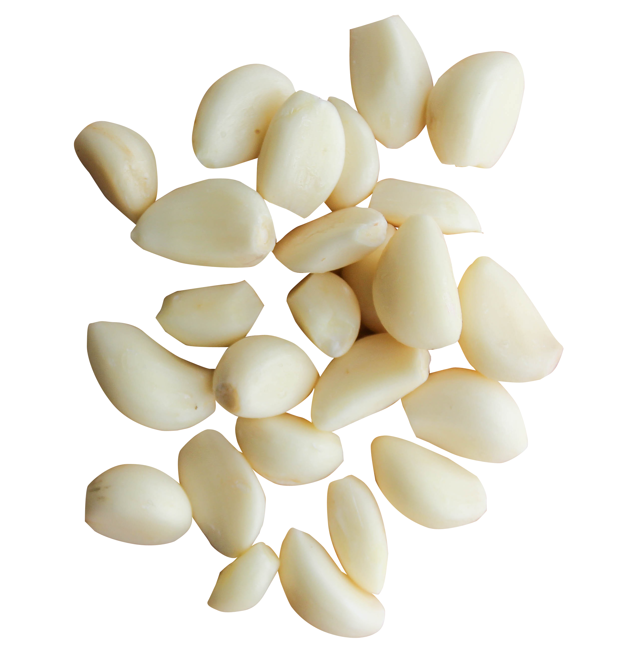 Peeled Garlic Cloves Png Image Purepng Free Transparent Cc Png | Hot ...