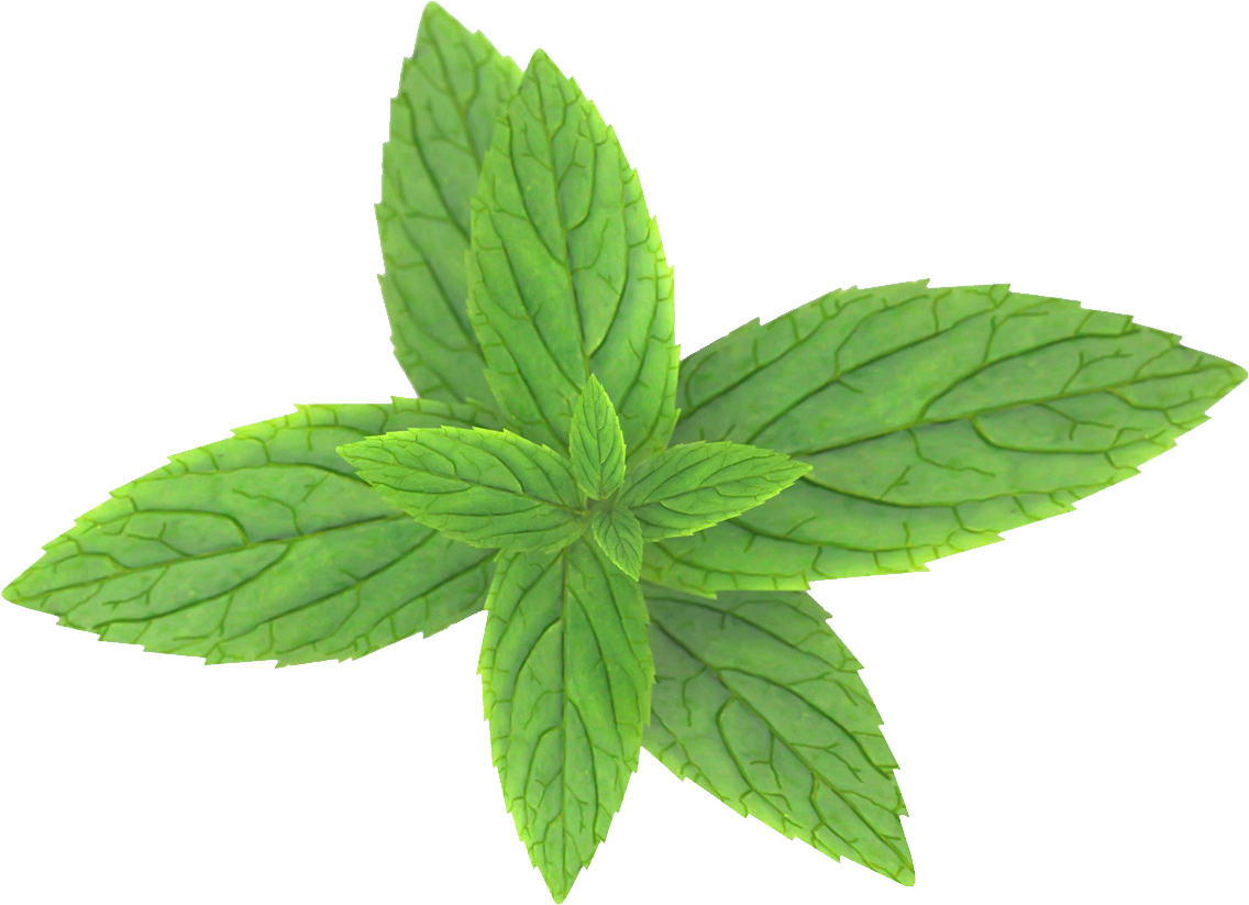 pepermint-png-image-purepng-free-transparent-cc0-png-image-library