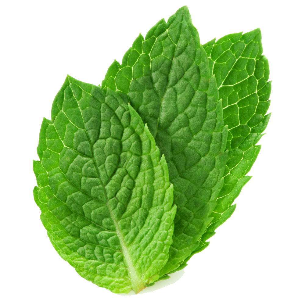 Pepermint PNG Image