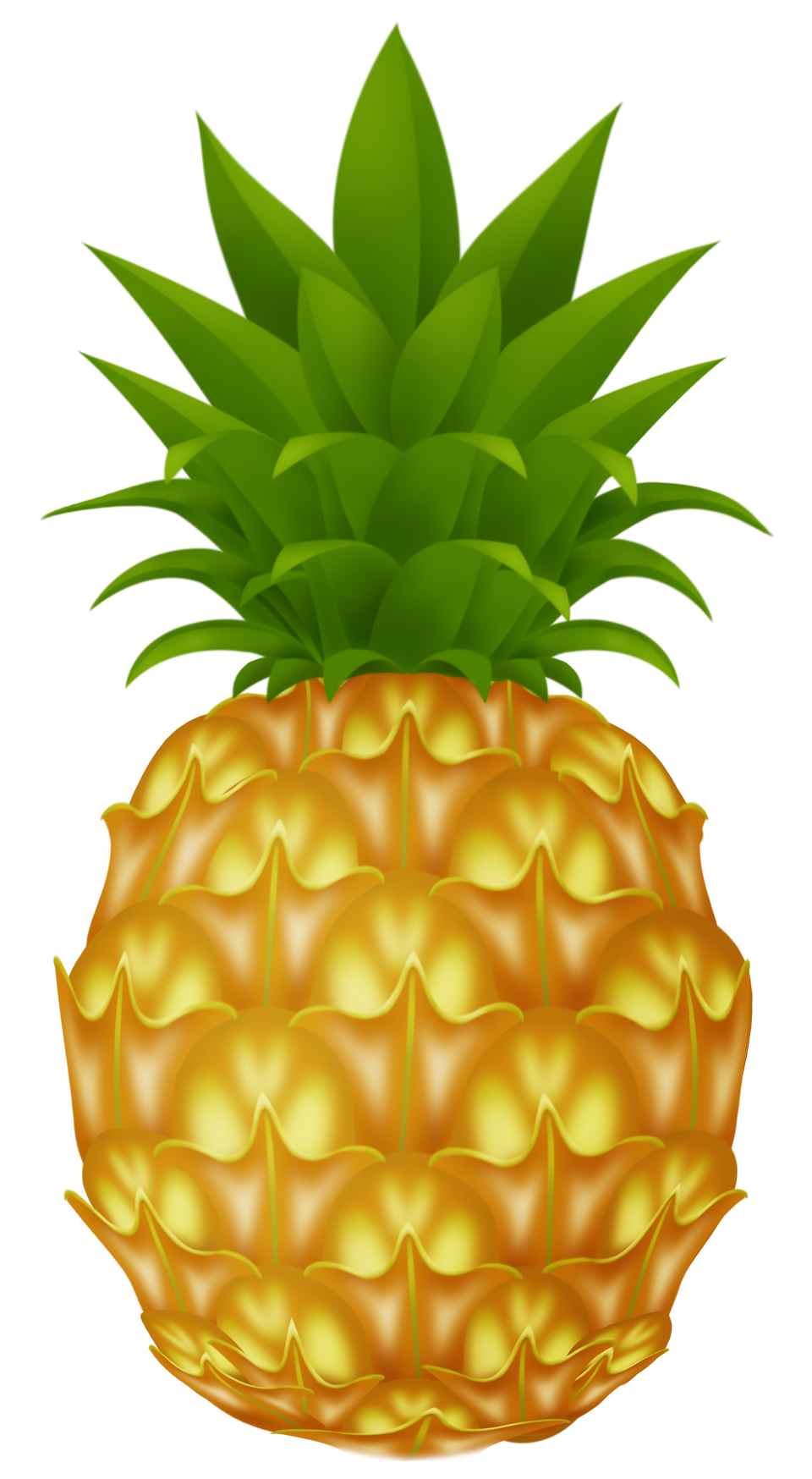 Png Picture