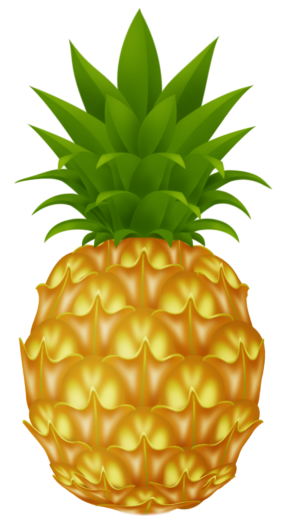 Pineapple PNG Image - PurePNG | Free transparent CC0 PNG Image Library