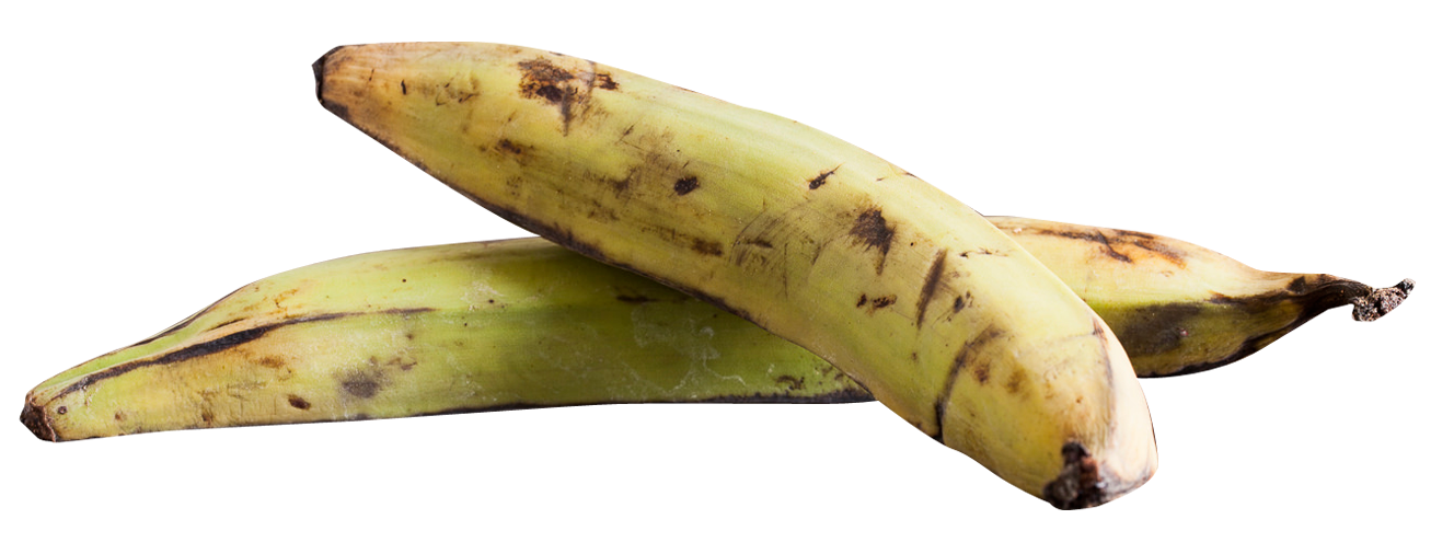 Plantain PNG Image