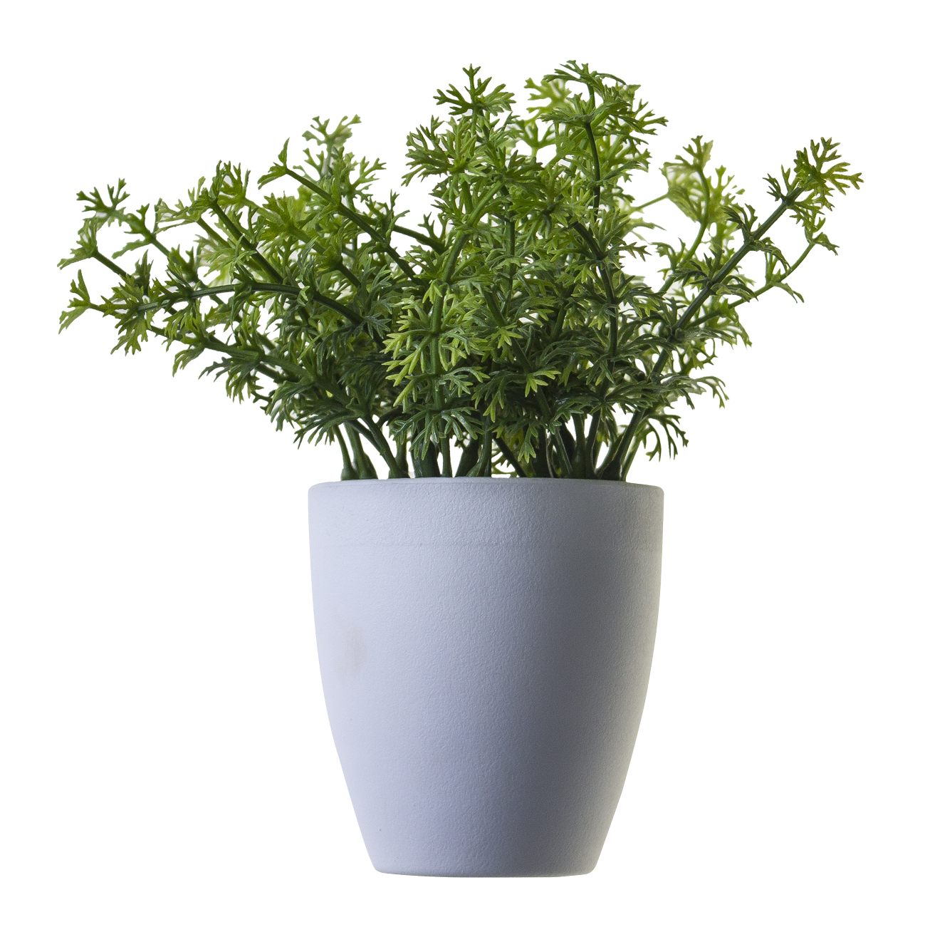 Download Plant Png Image For Free