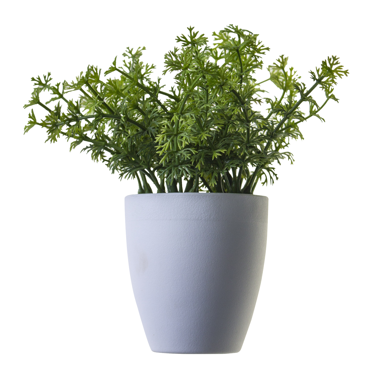 Small Potted Plants For Sale