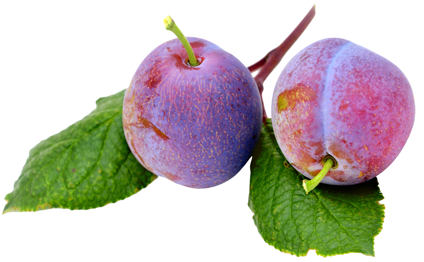 Plum With Leaf PNG Image