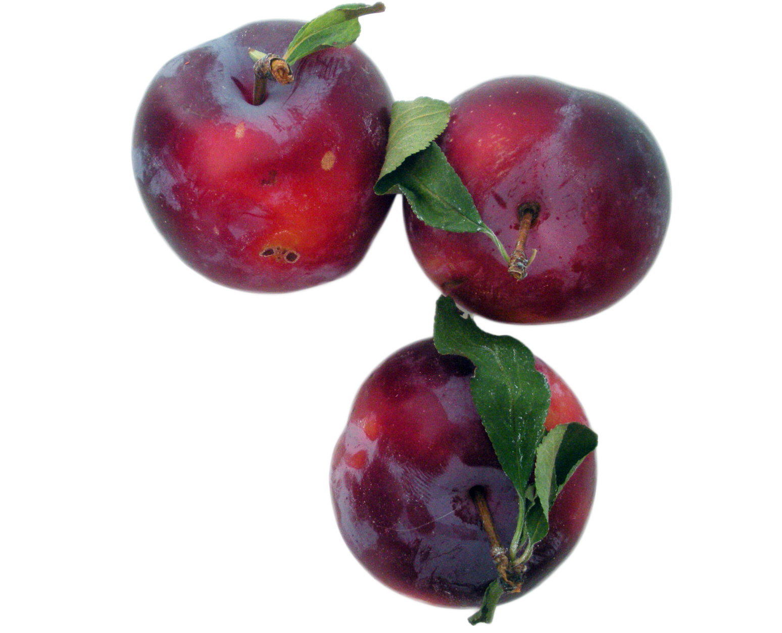 Plums PNG Image