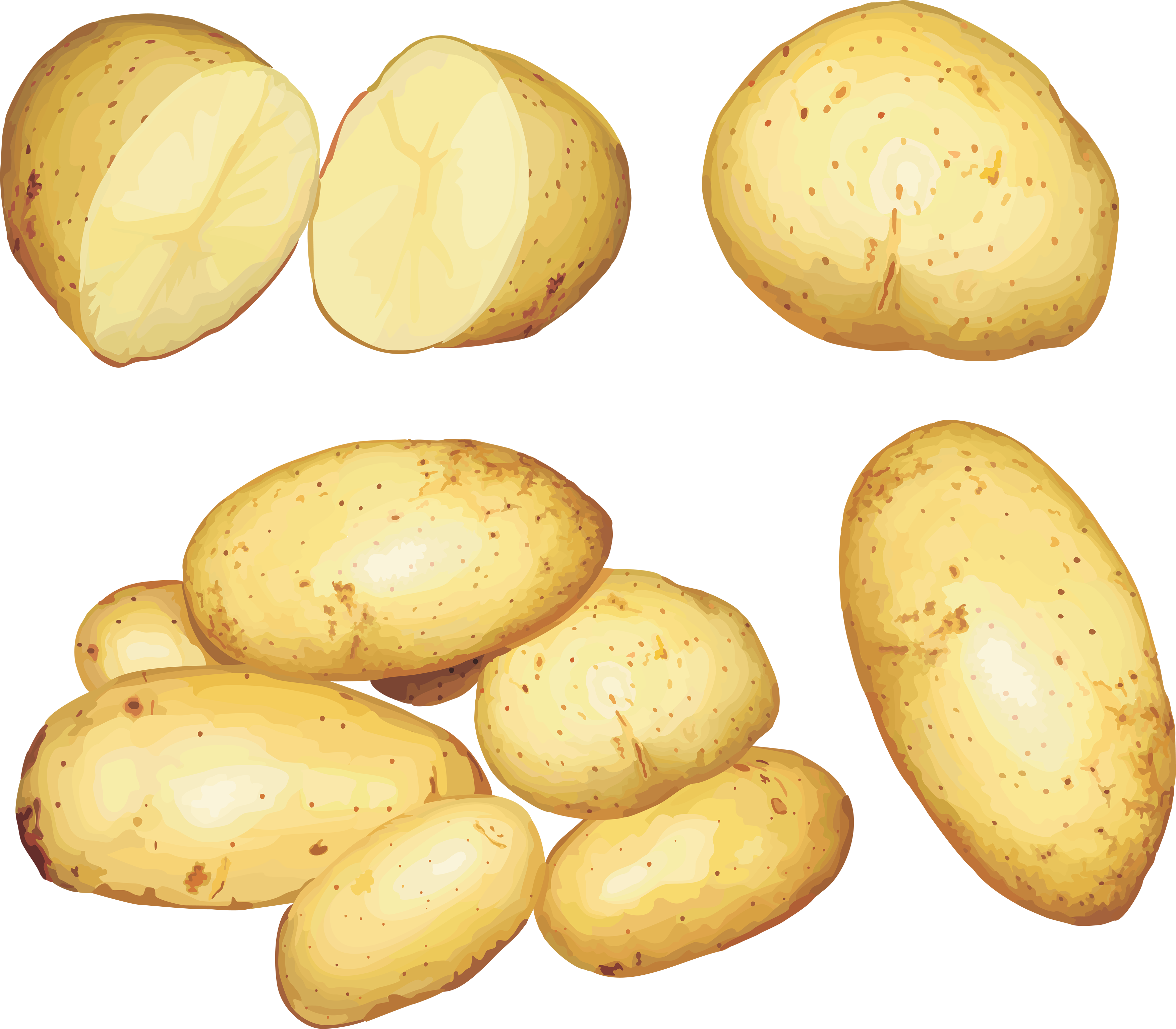 Potato PNG Image