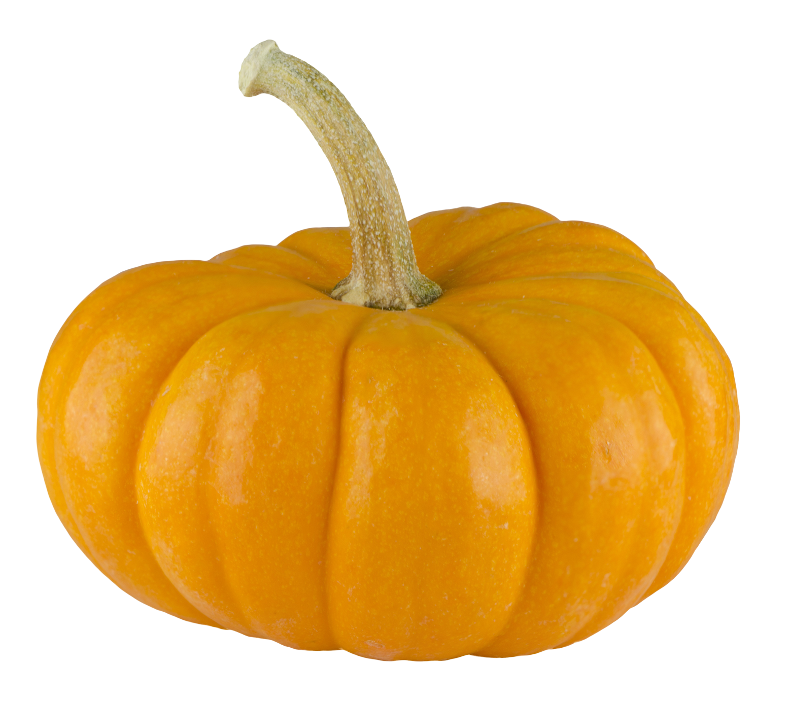 Pumpkin PNG Image