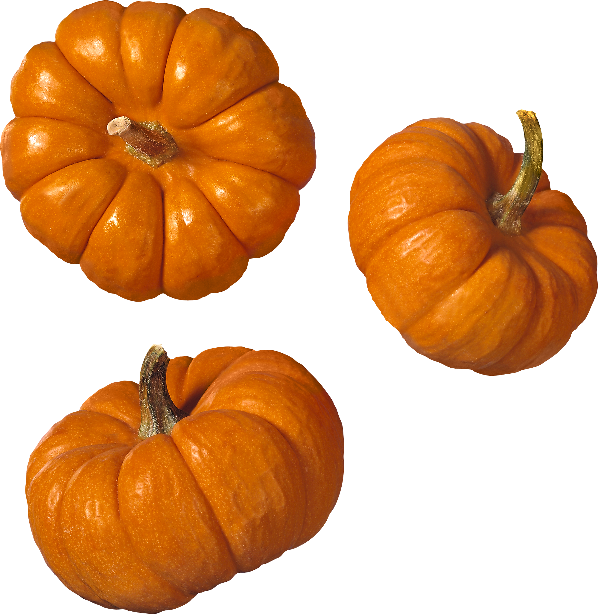 Pumpkin PNG Image - PurePNG | Free transparent CC0 PNG Image Library