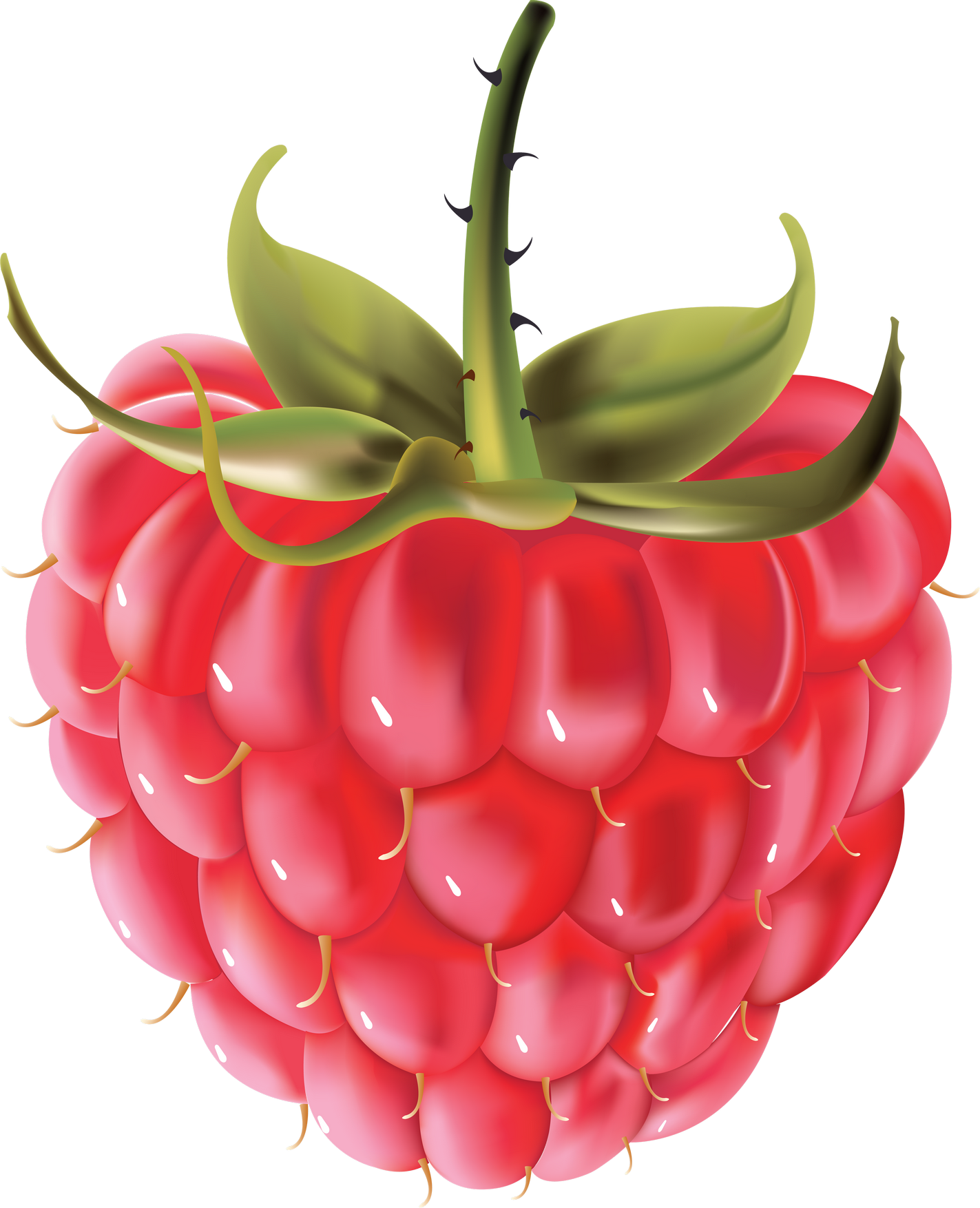 Raspberry PNG Image