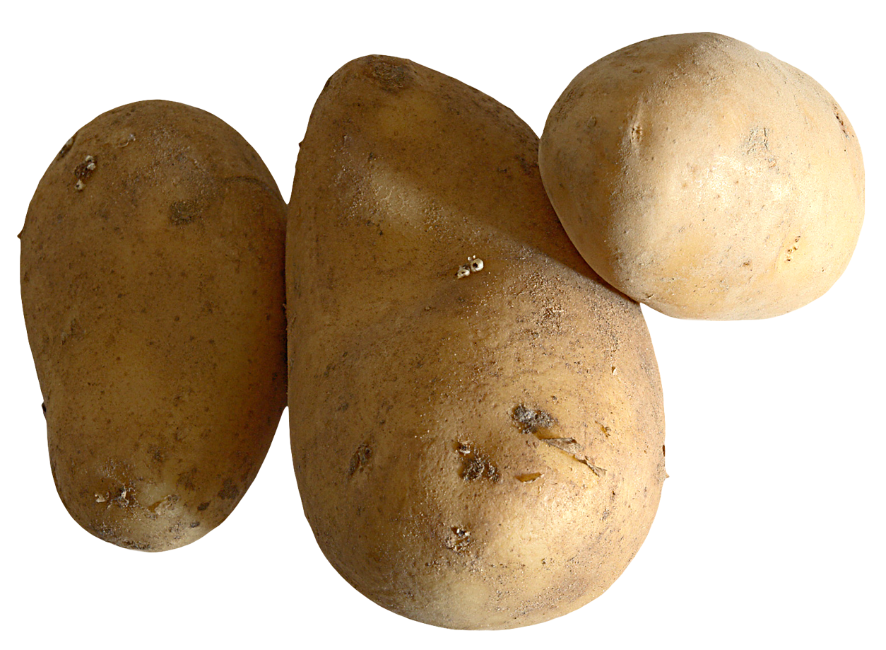 Raw Potato PNG Image