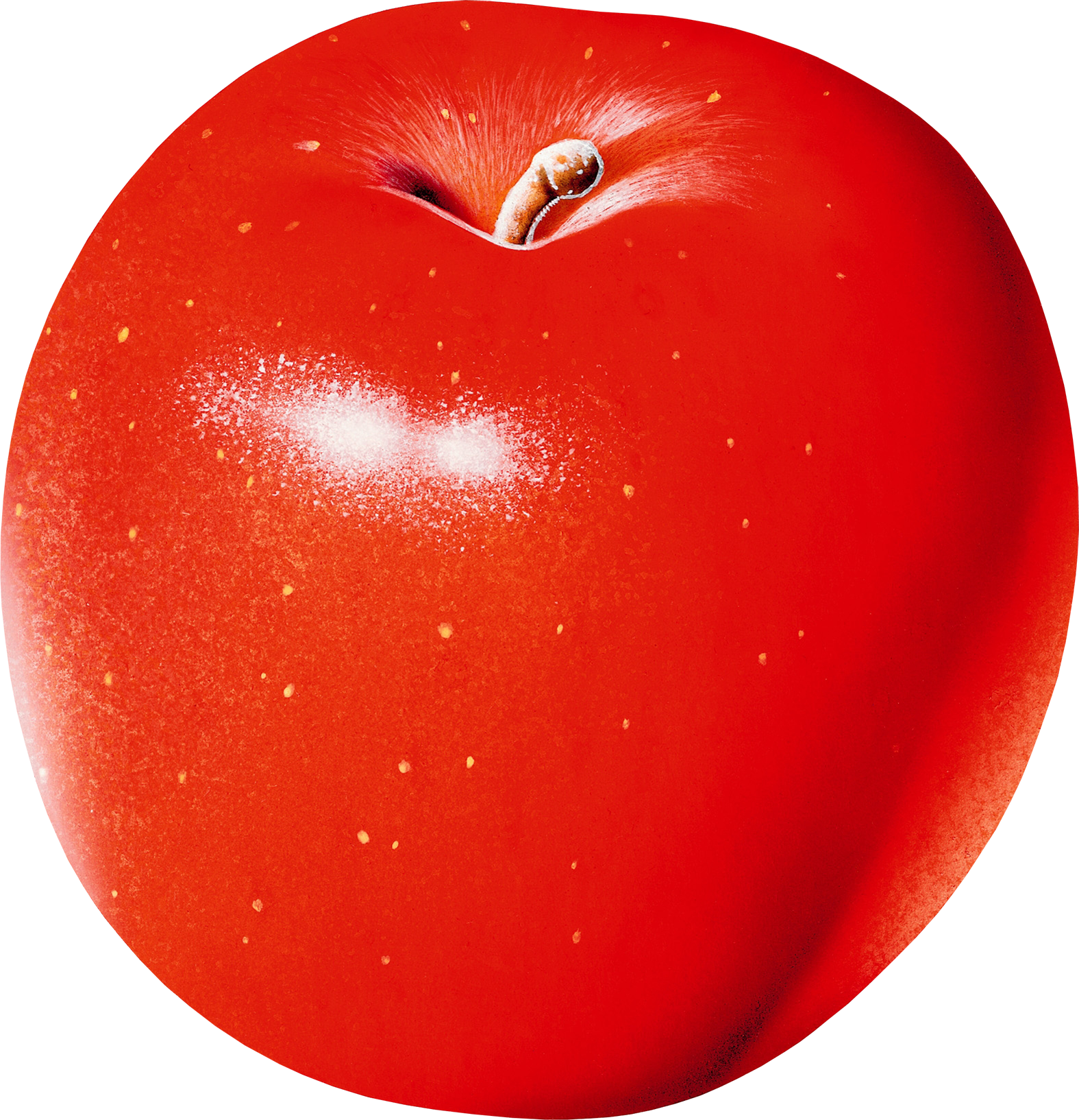 Red Apple's PNG Image