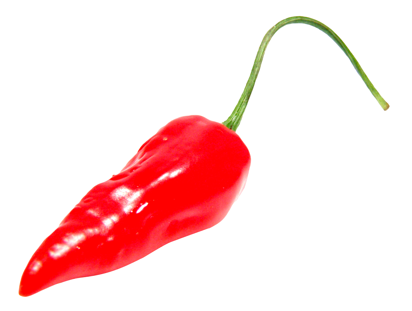 Red Chili Pepper PNG Image