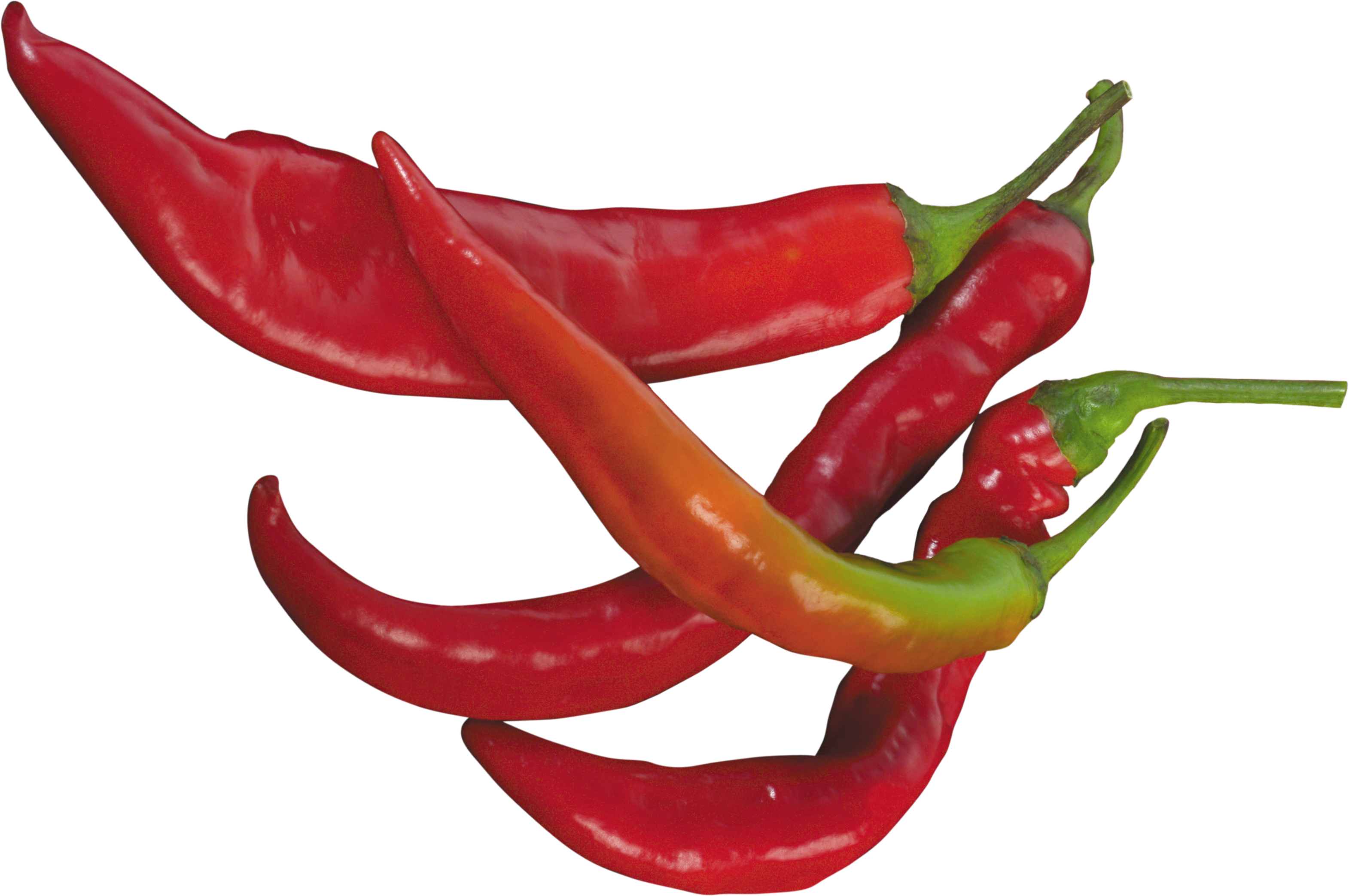 Red Pepper PNG Image