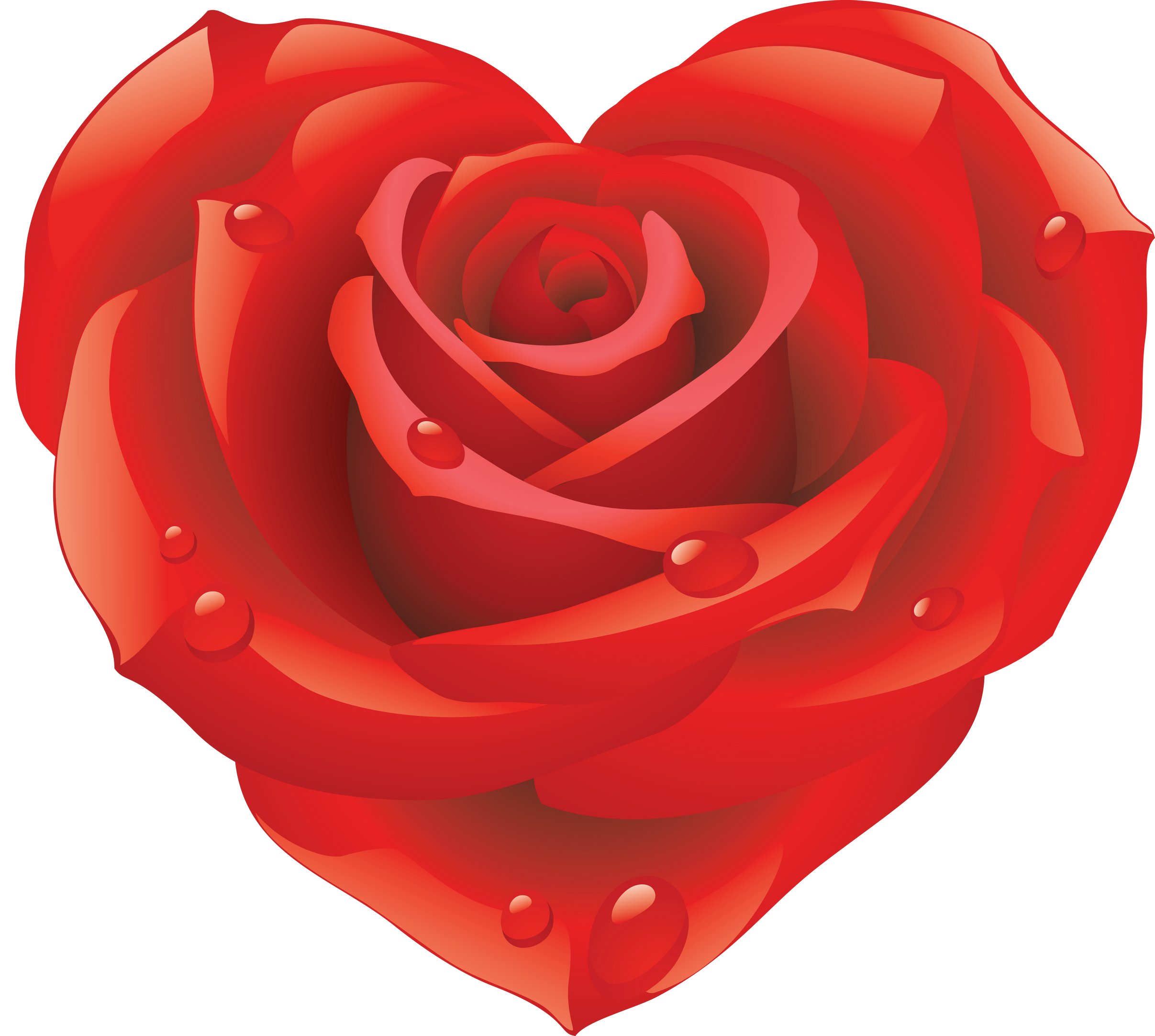 Red Rose PNG Image