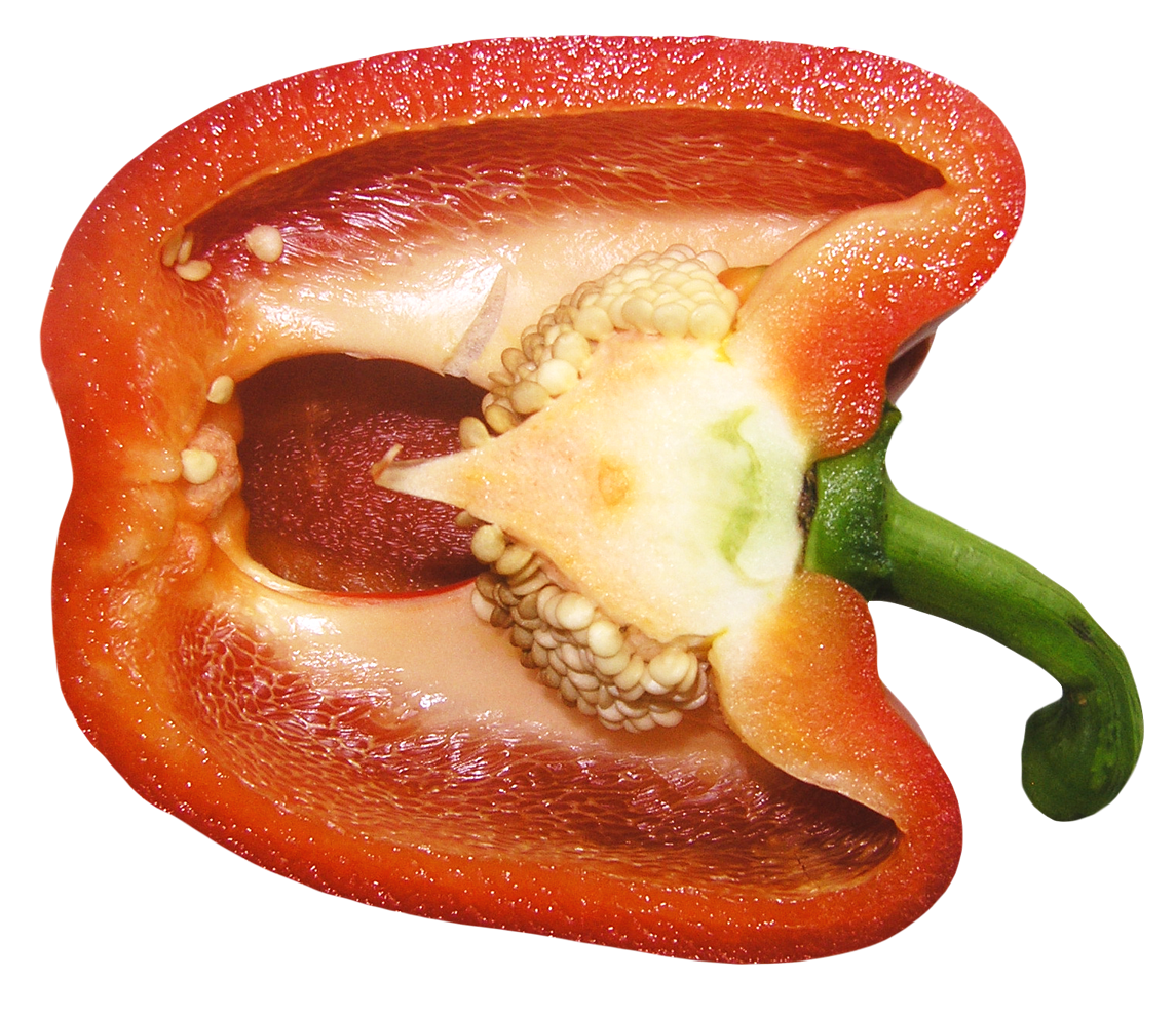 Red Sweet Pepper PNG Image