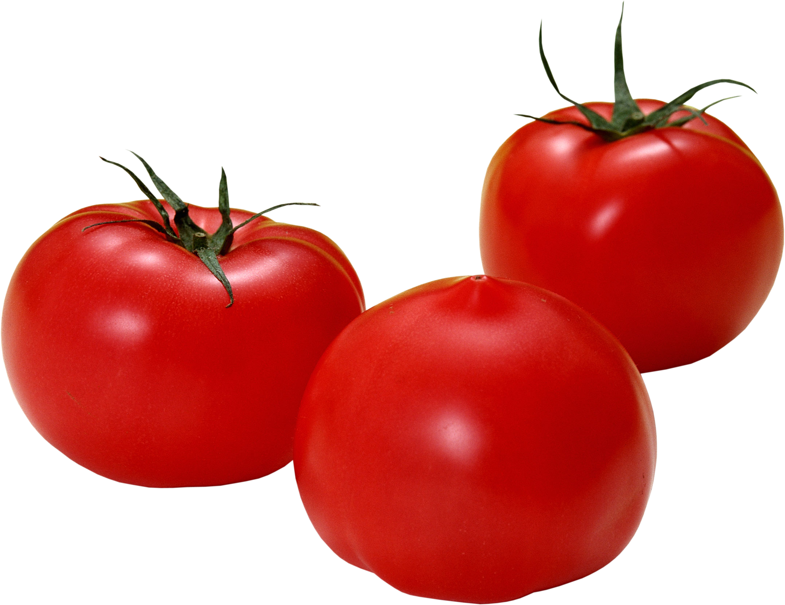 Red Tomatoes PNG Image
